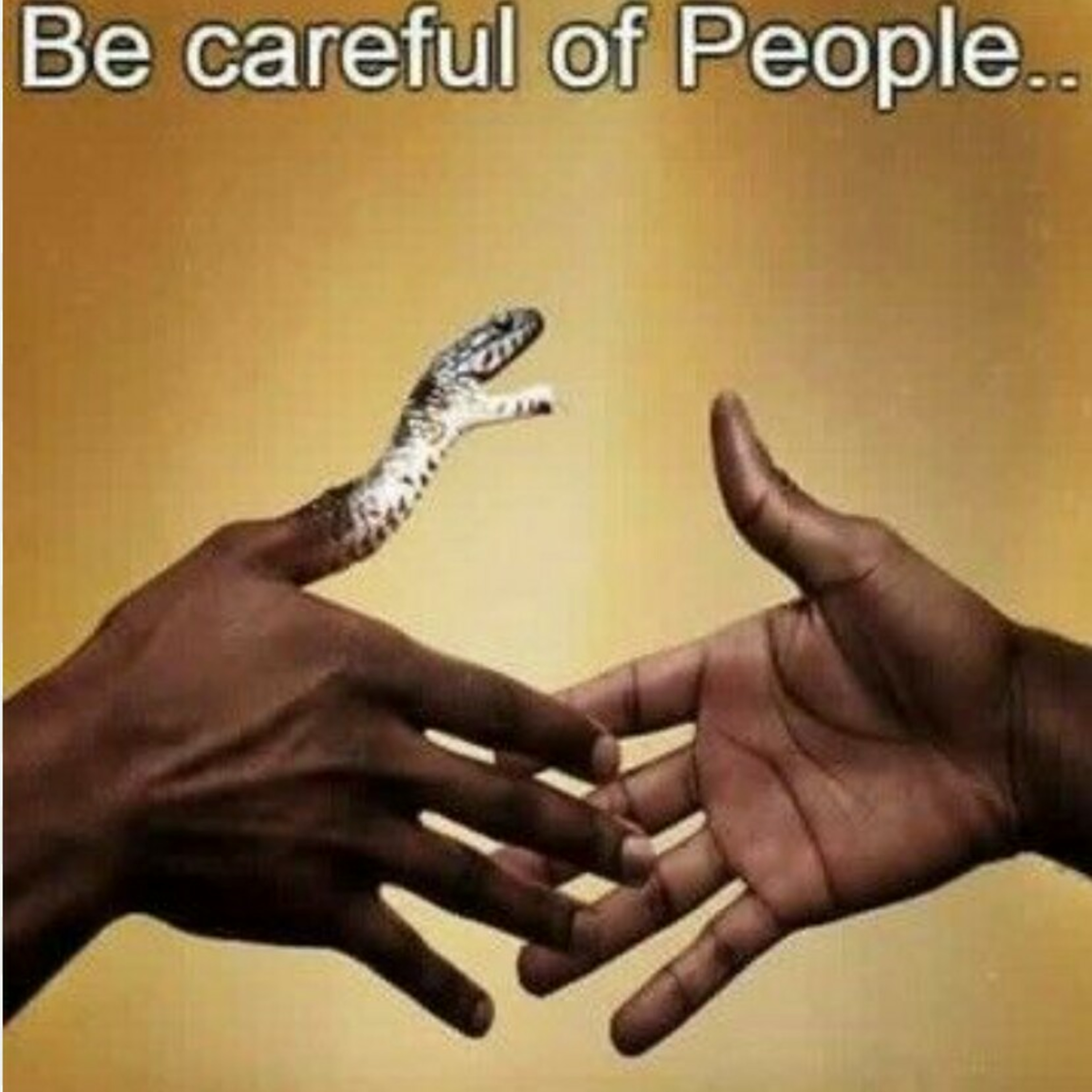 Having snakes around you episode artwork