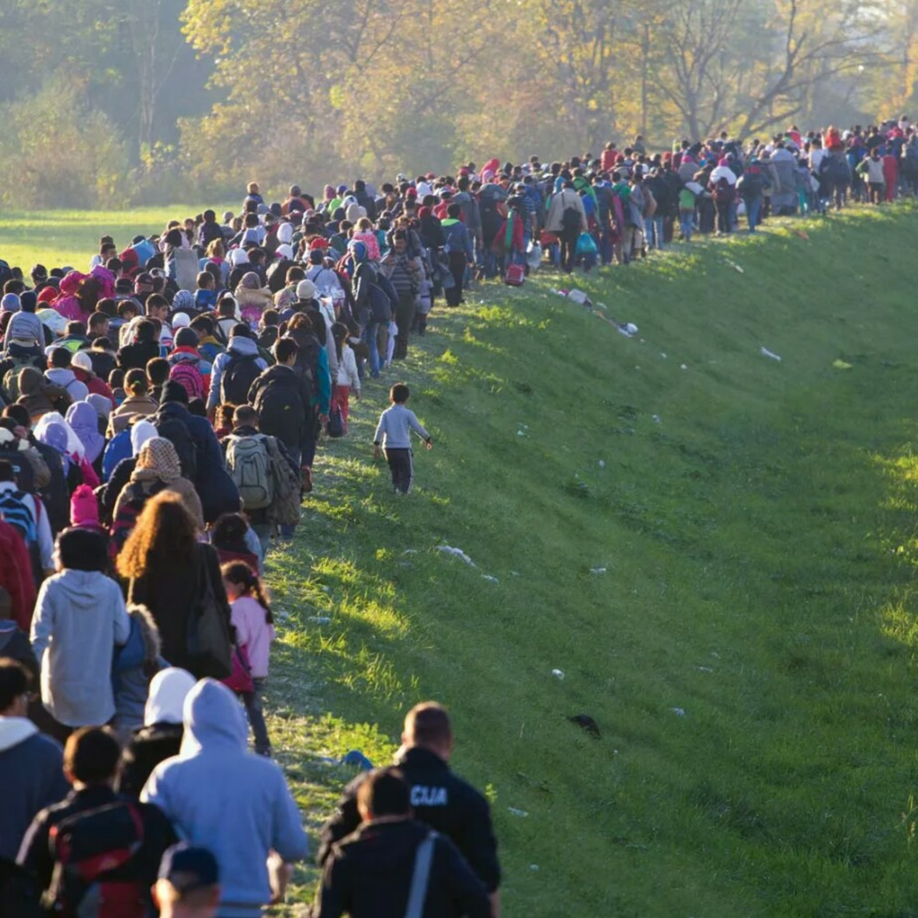 "The Truth Behind Migration in the USA: Myths and Realities" episode artwork