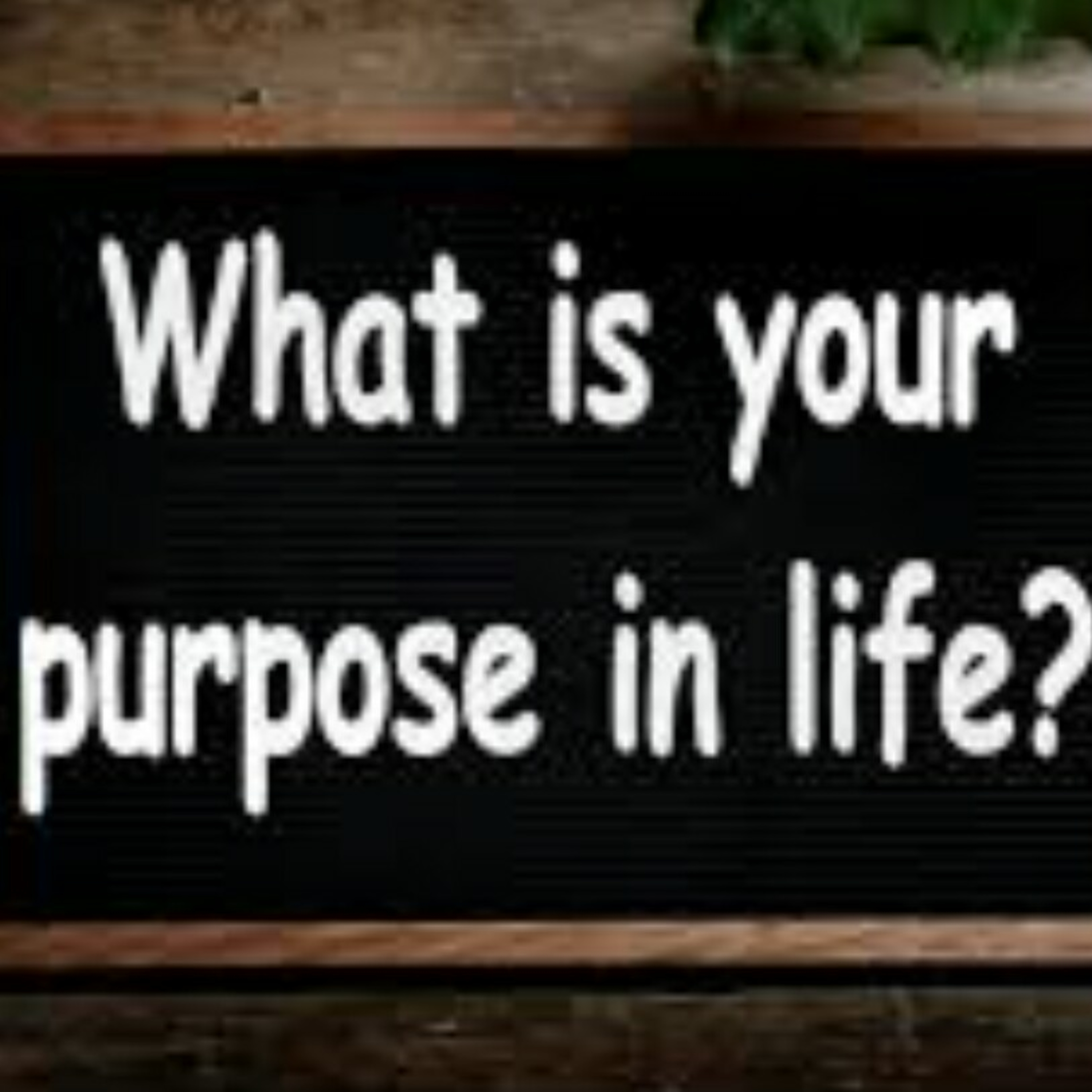 What is your purpose in life? (Pt 2) episode artwork