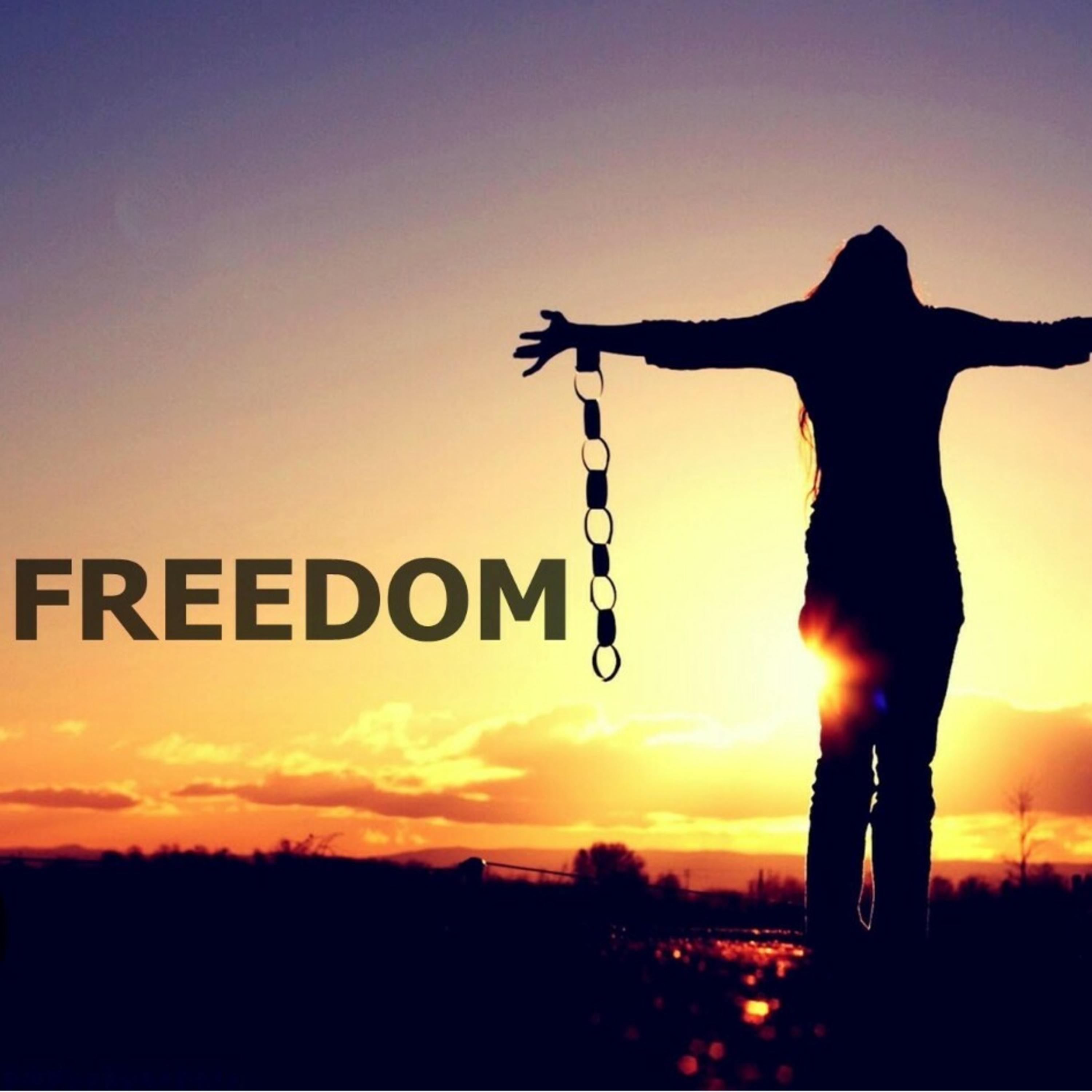 The Secret of Happiness is Freedom episode artwork