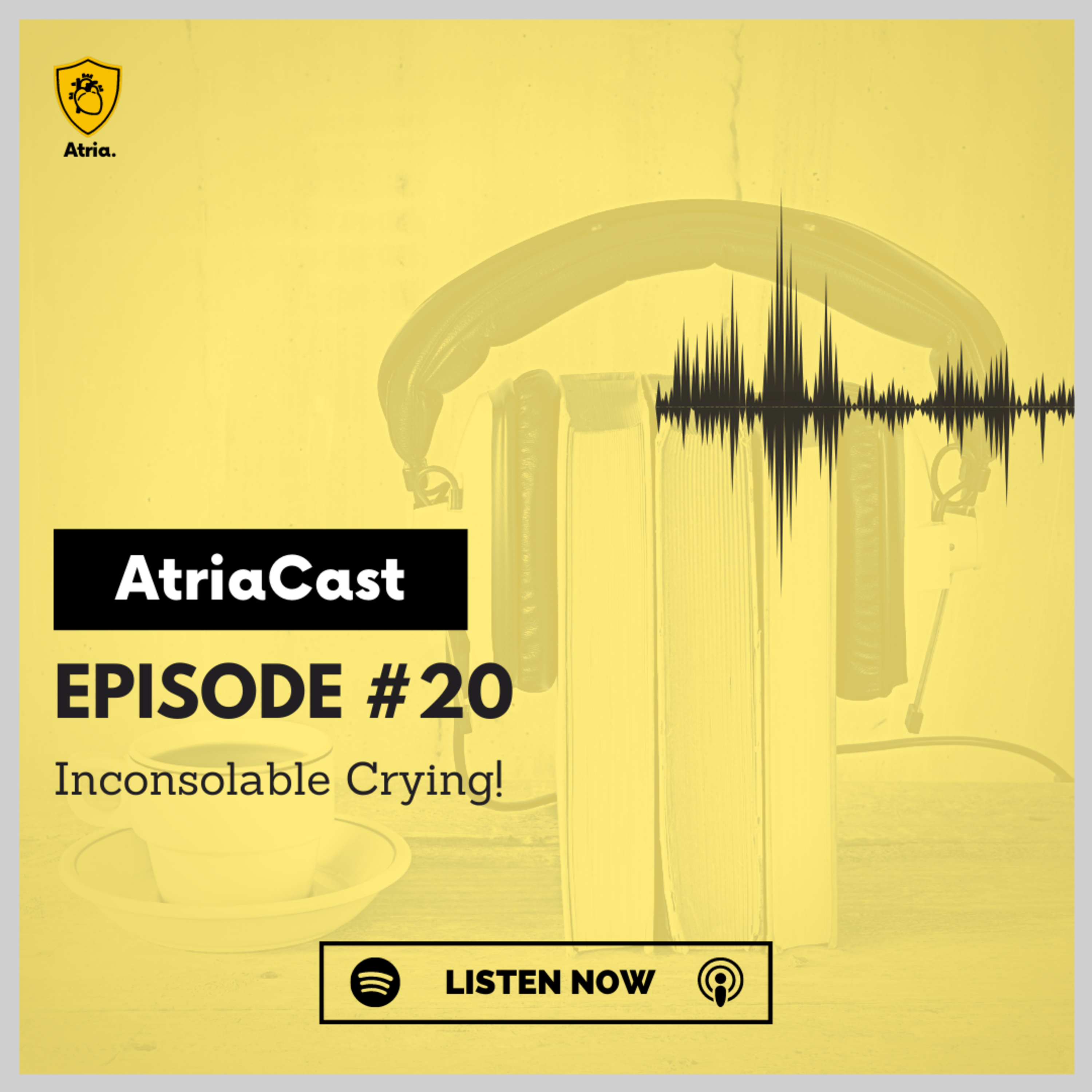 Episode #20: Inconsolable Crying episode artwork
