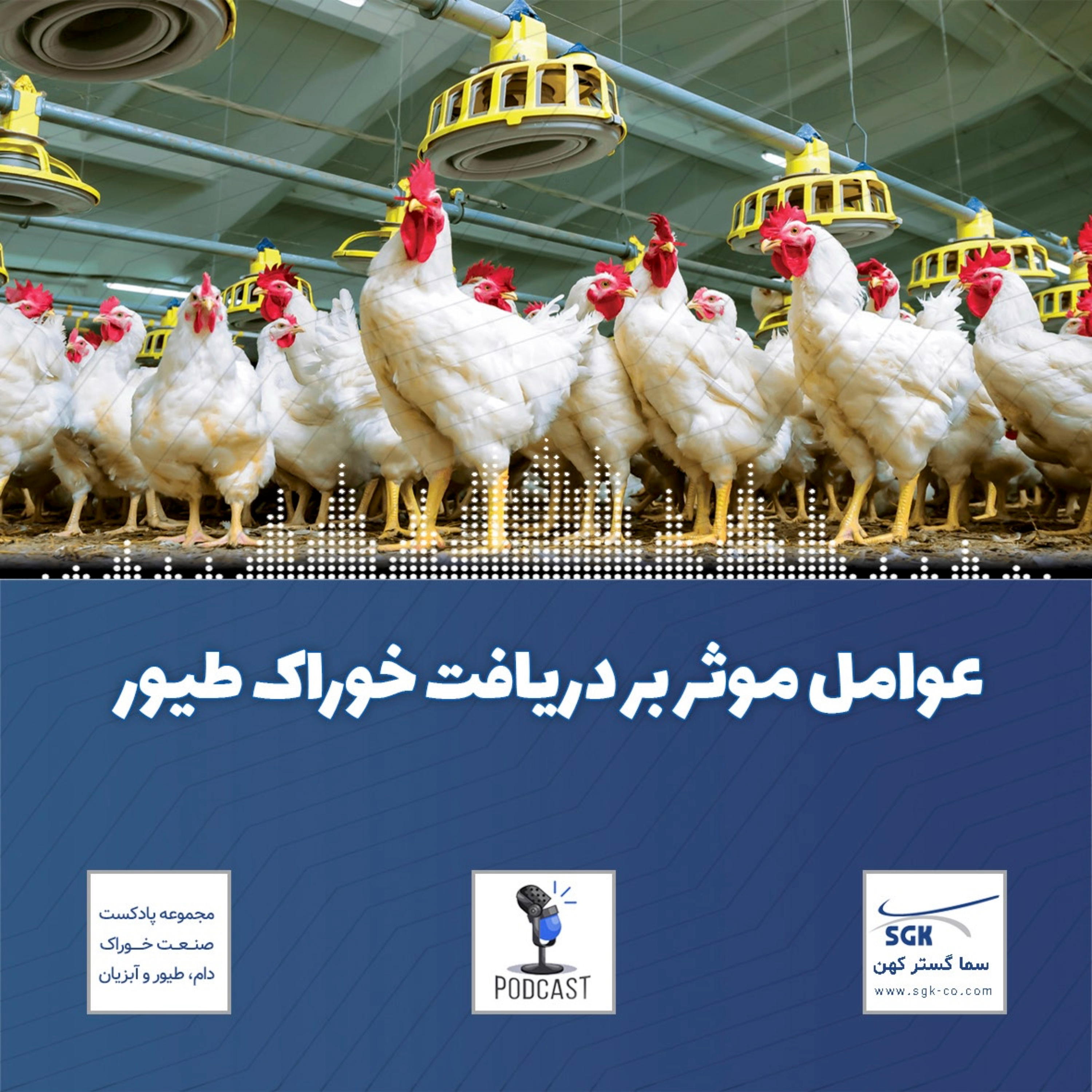 کاور عوامل مؤثر بر دریافت خوراک طیور