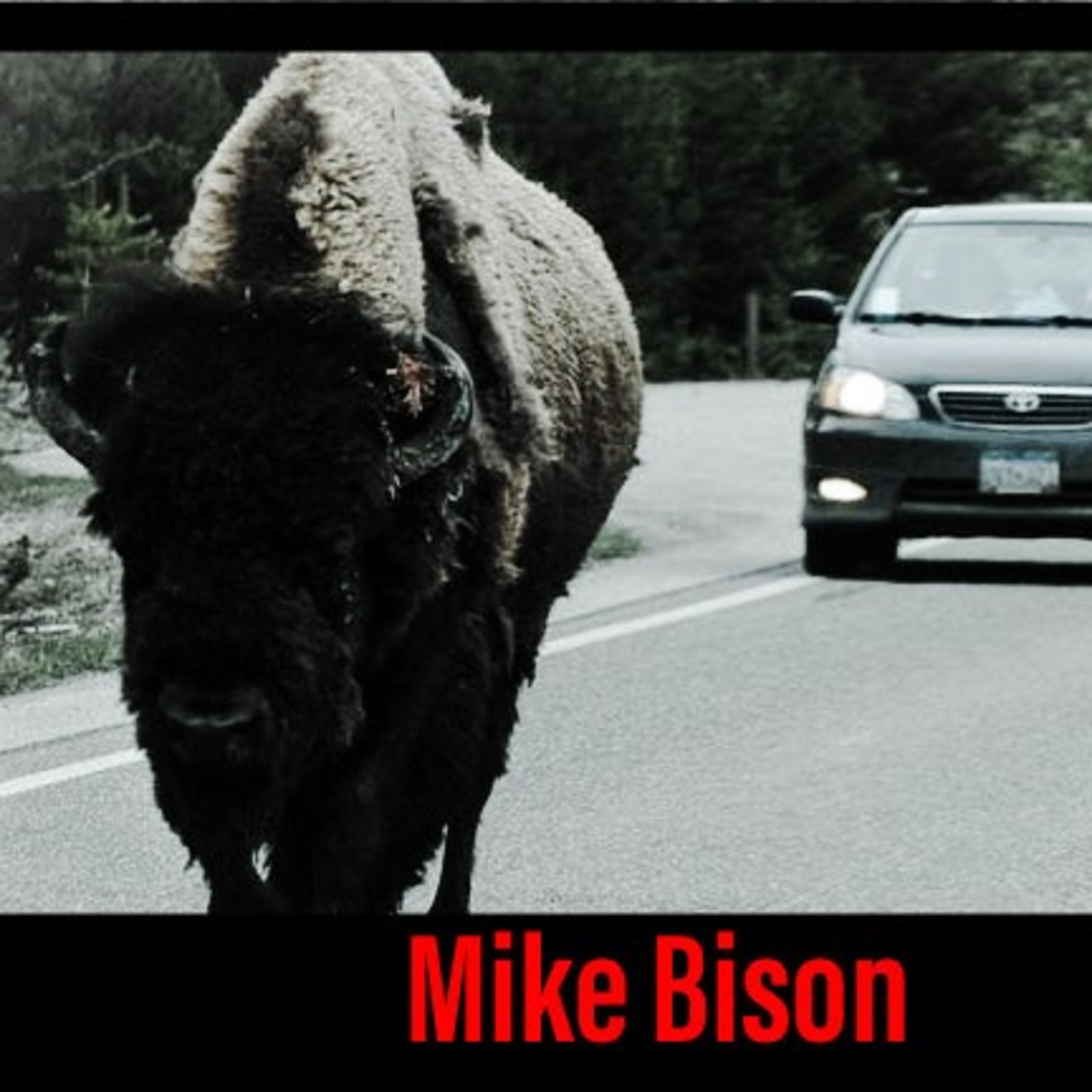 Mike Bison episode artwork