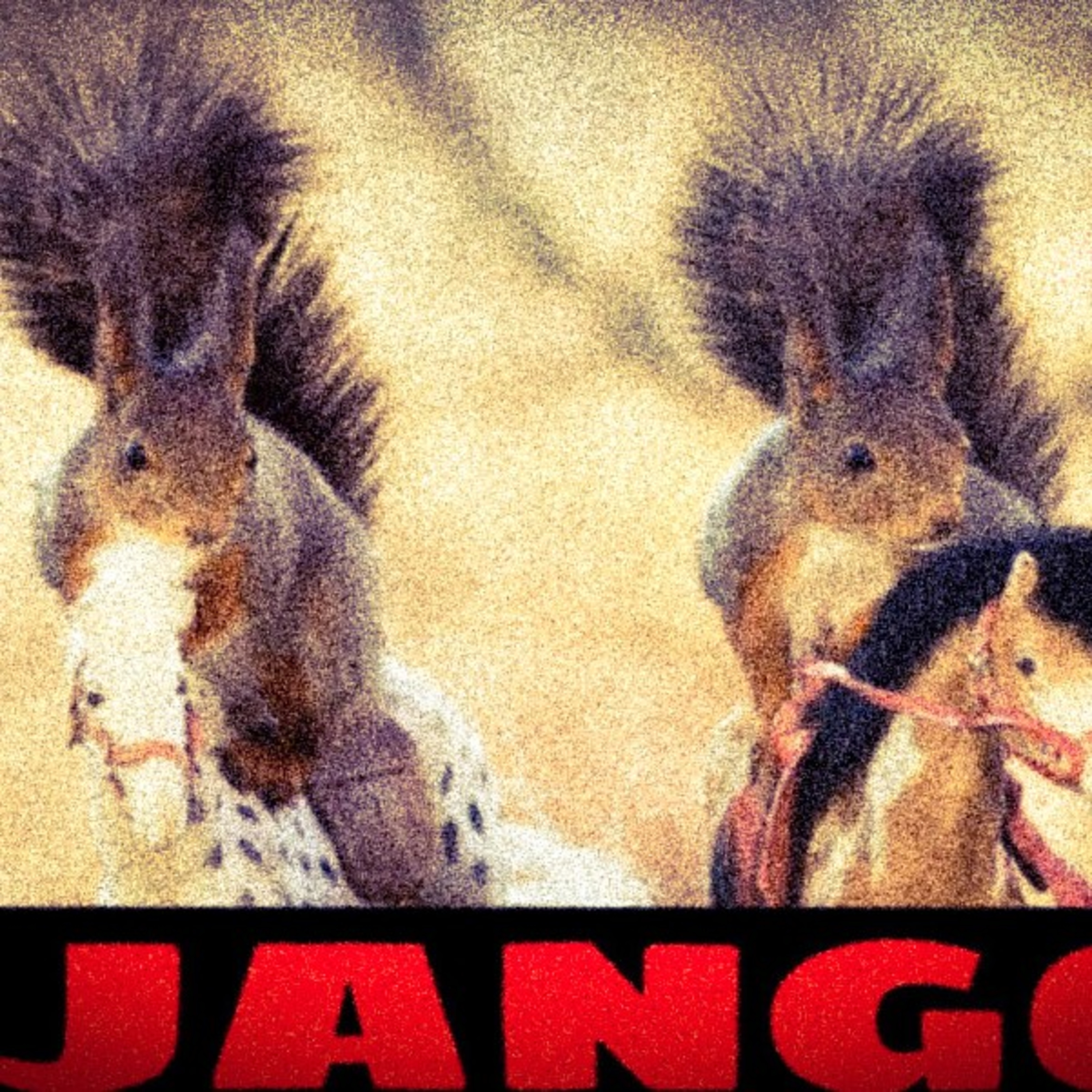 DJANGO episode artwork