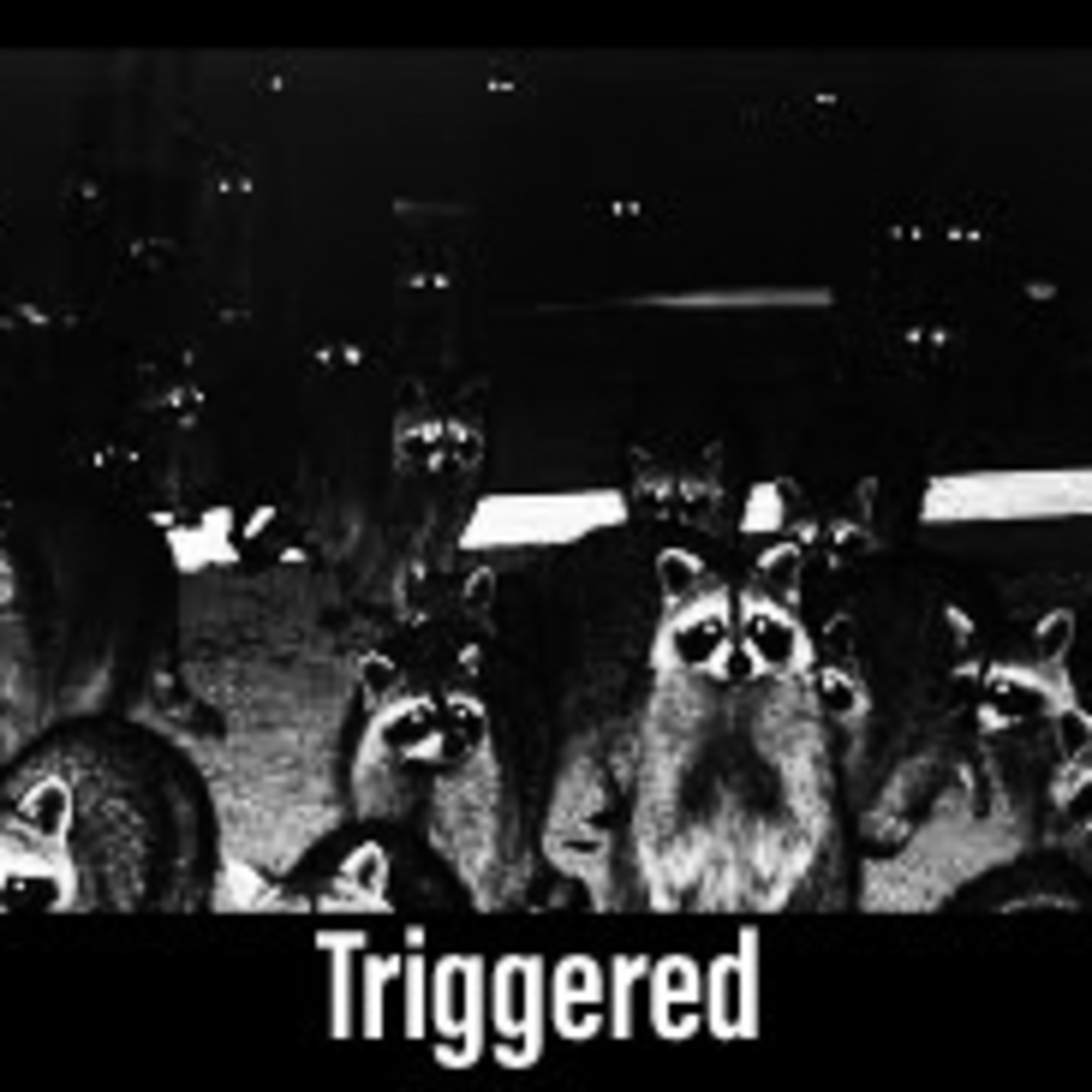 Triggered episode artwork