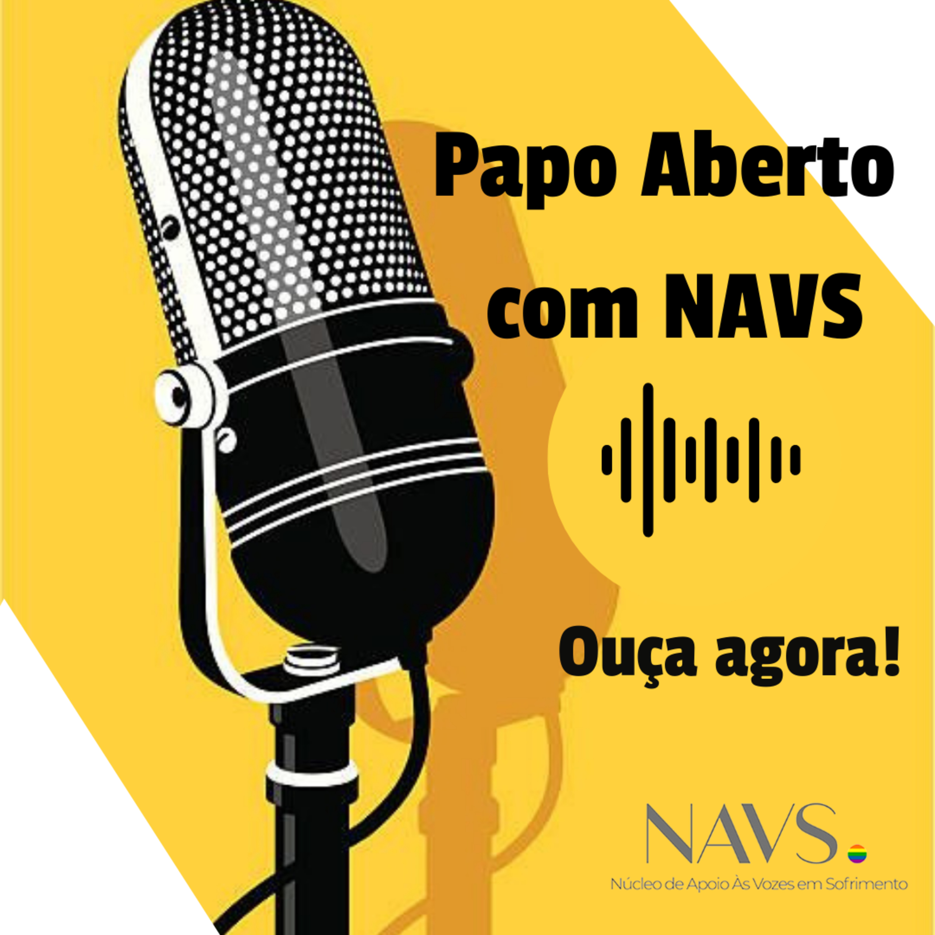 Papo Aberto com NAVS