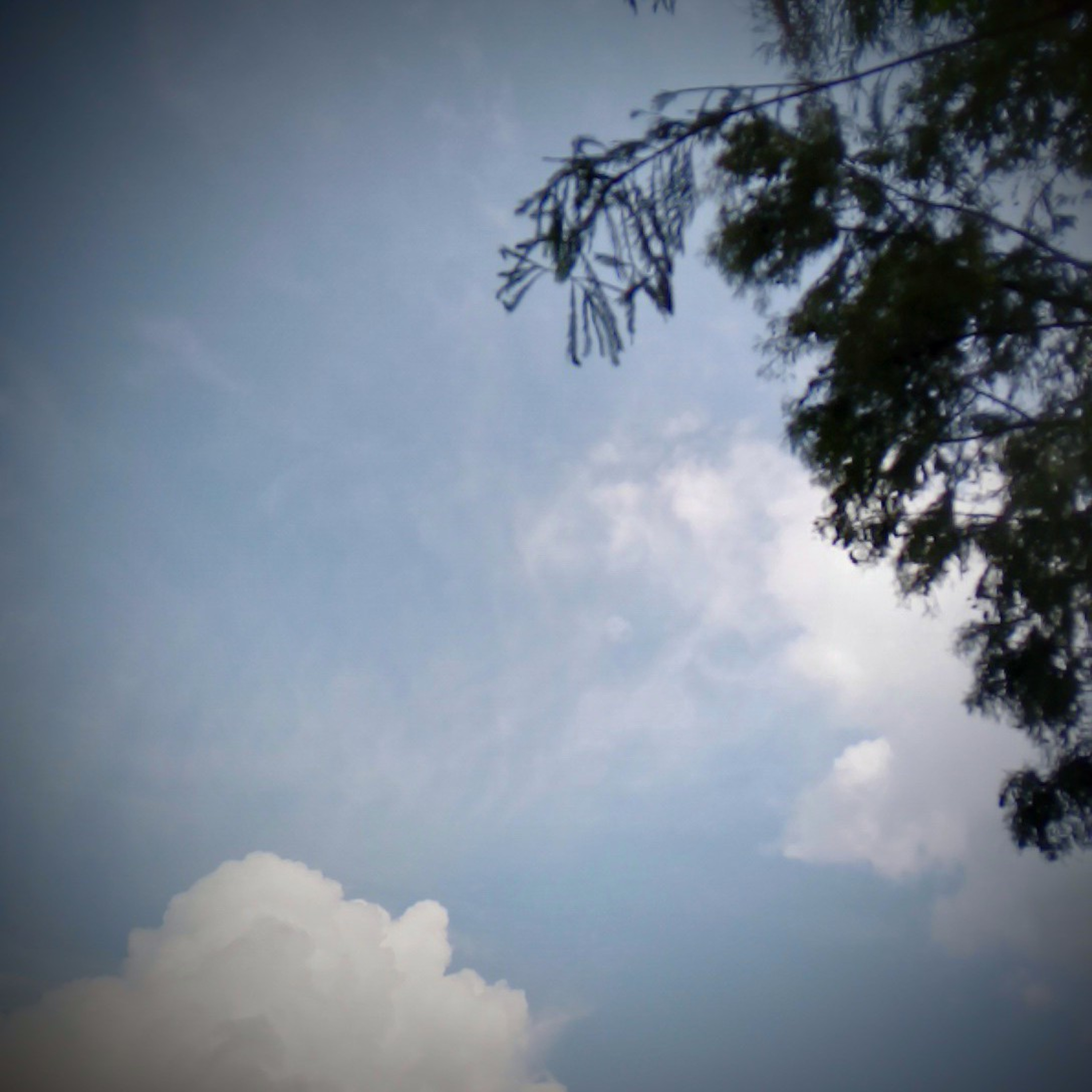 Pedir La Proteccion De Dios