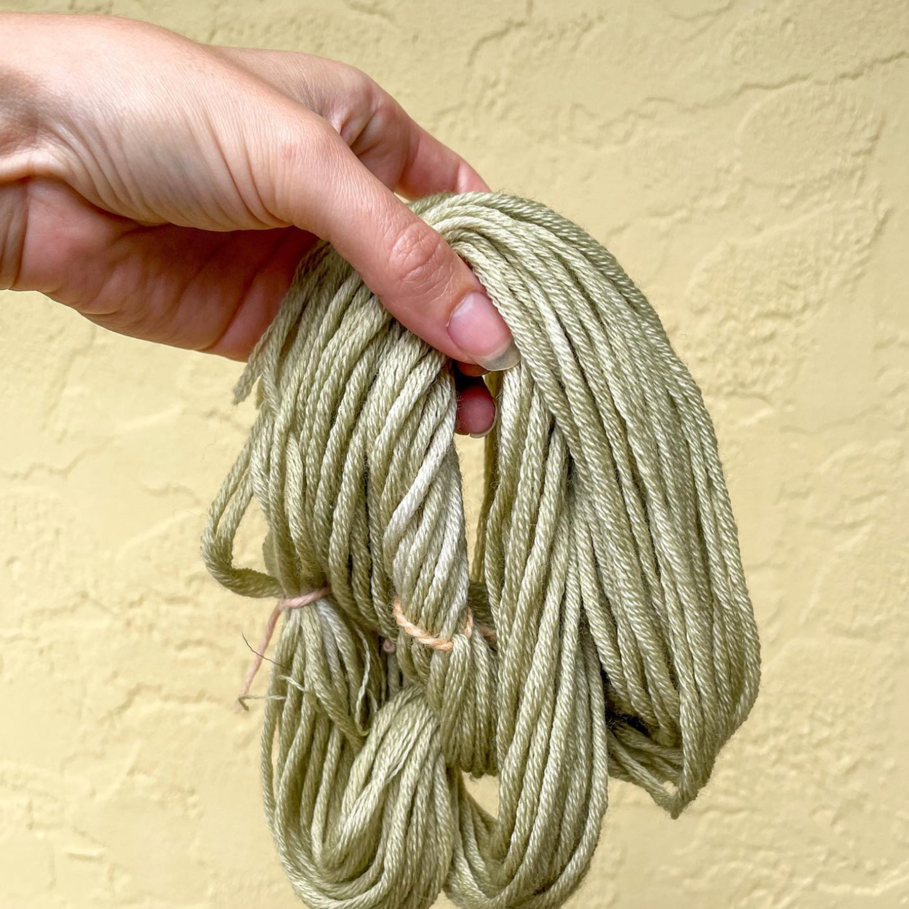 The Creator Lifestyle