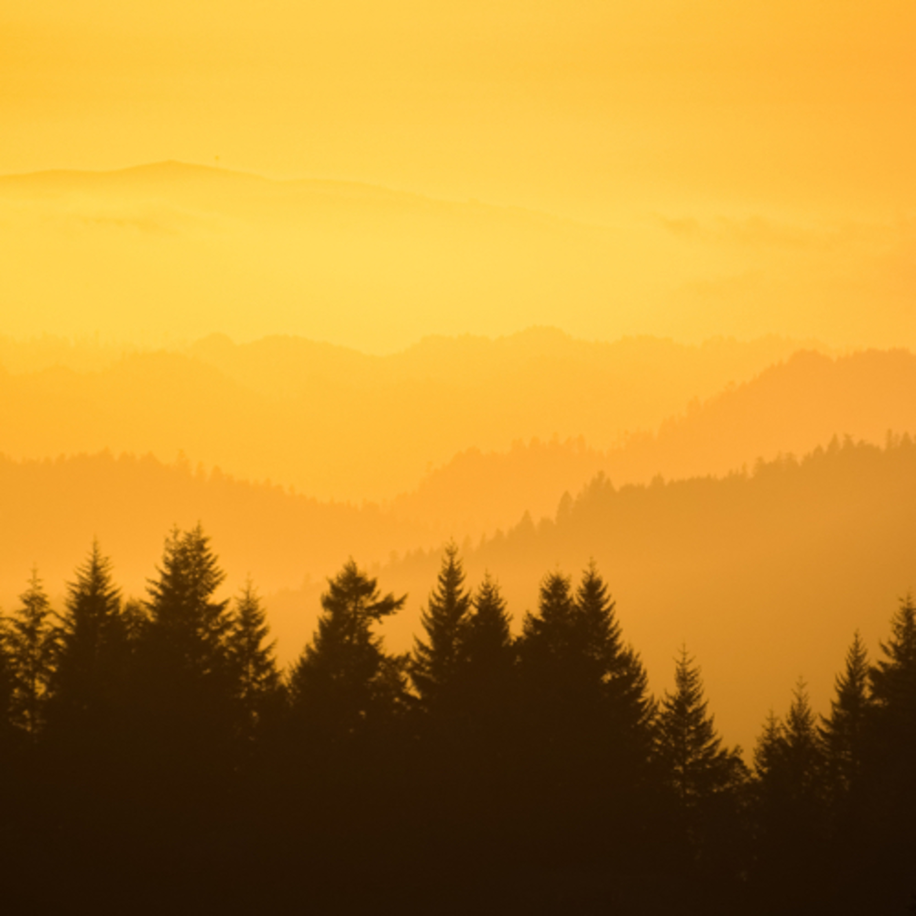 Псалом 76 episode artwork