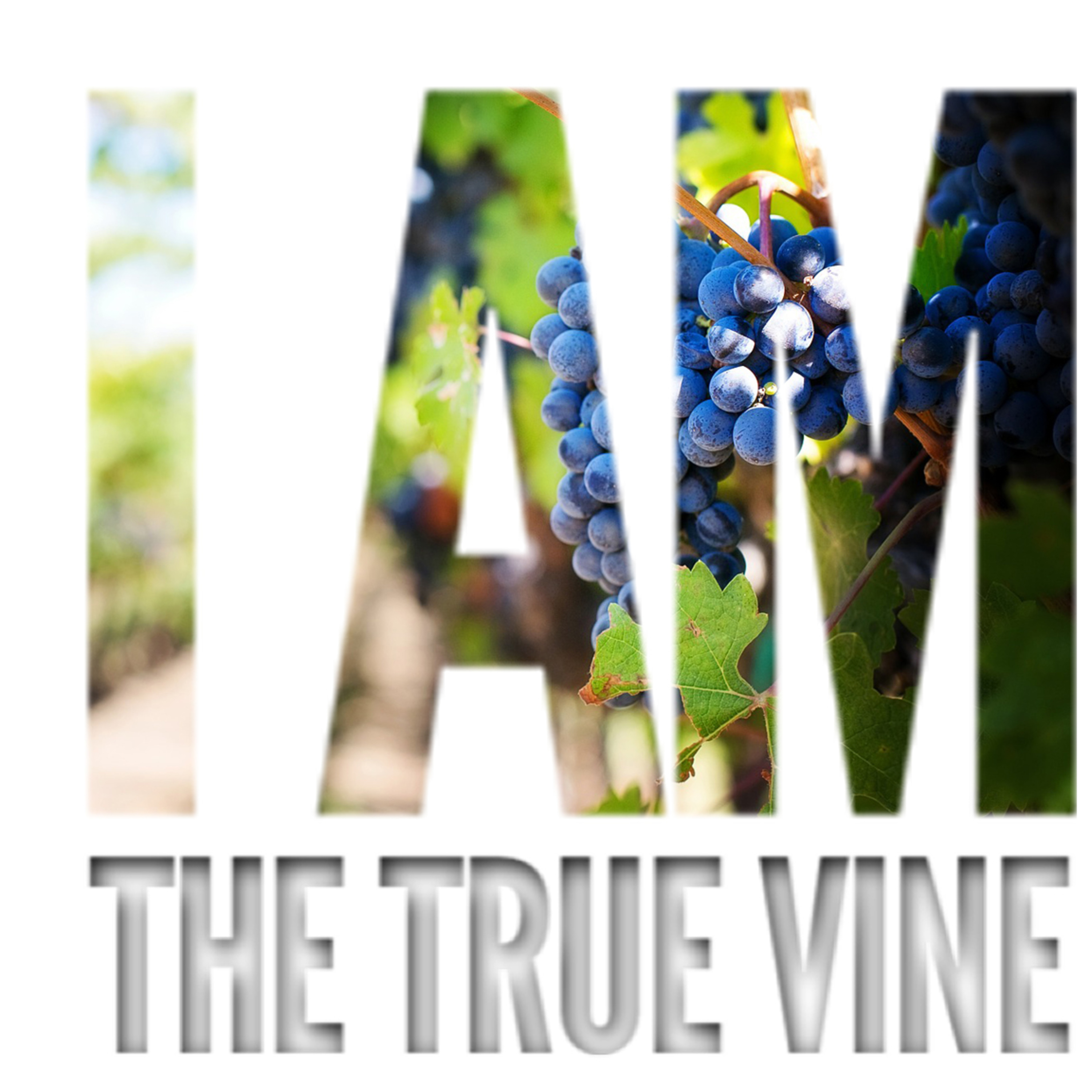 'The True Vine' - Margaret MacDonald - 23rd May 2021 episode artwork