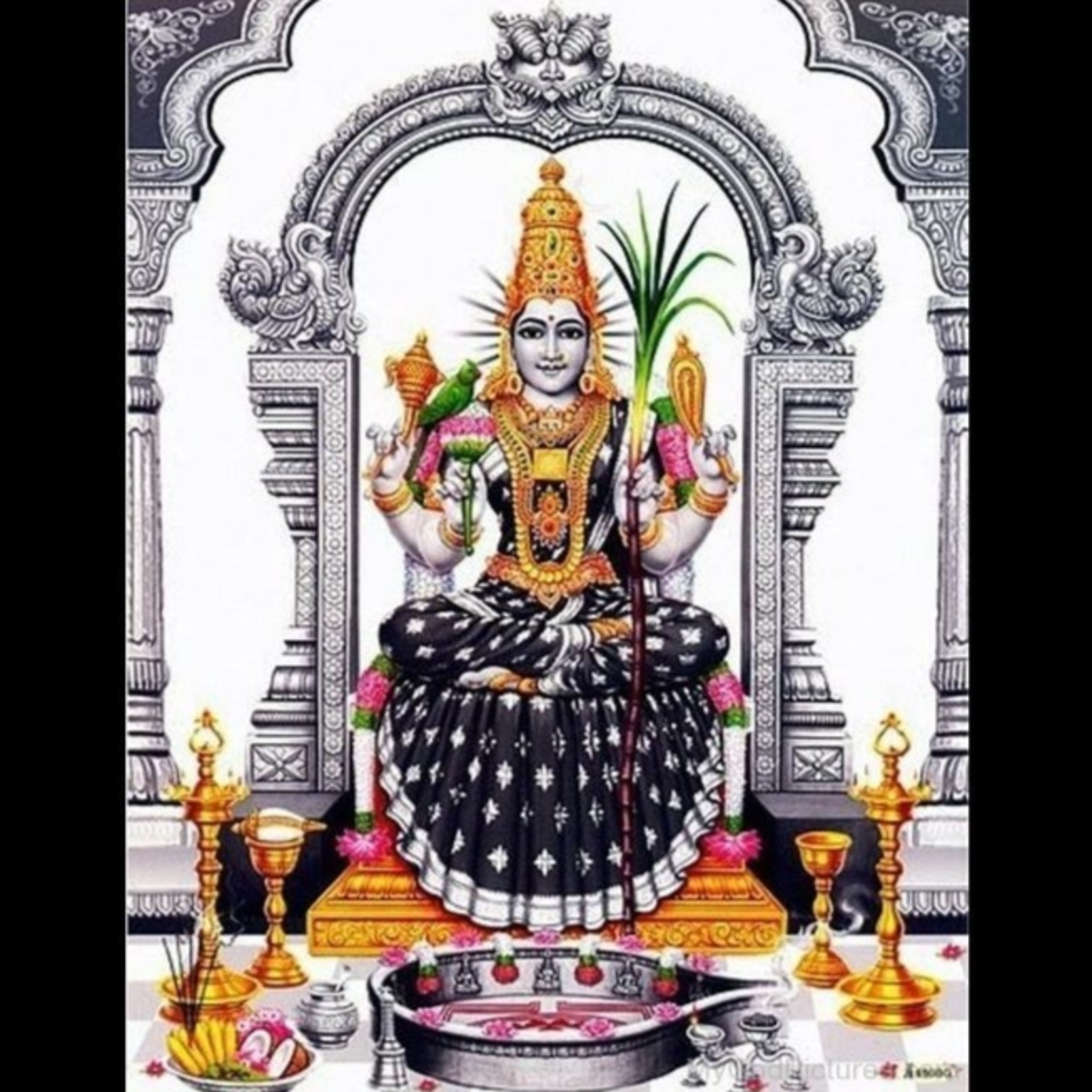 South Indian Classical (Carnatic) Music Archive: Classes / Lessons