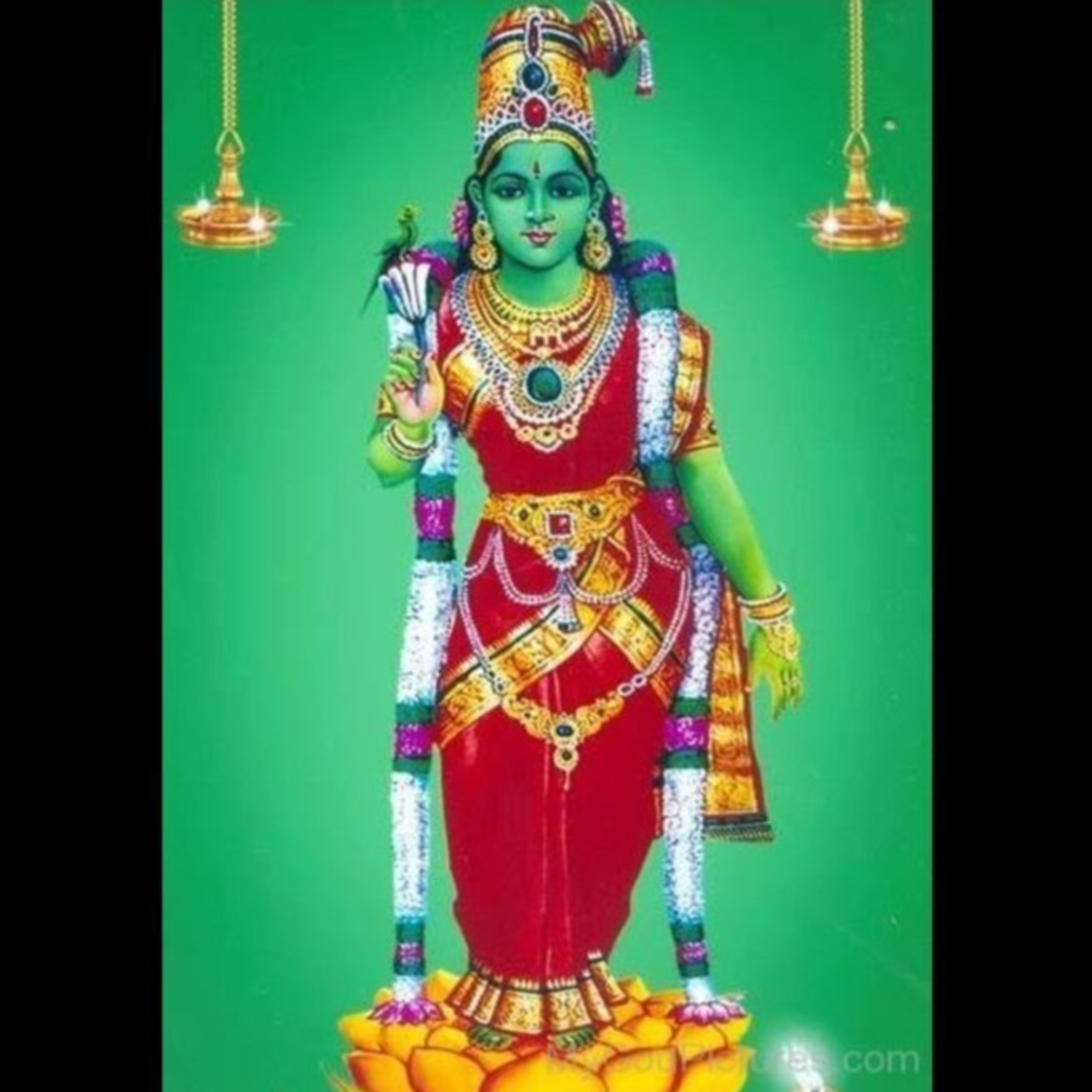South Indian Classical (Carnatic) Music Archive: Classes / Lessons