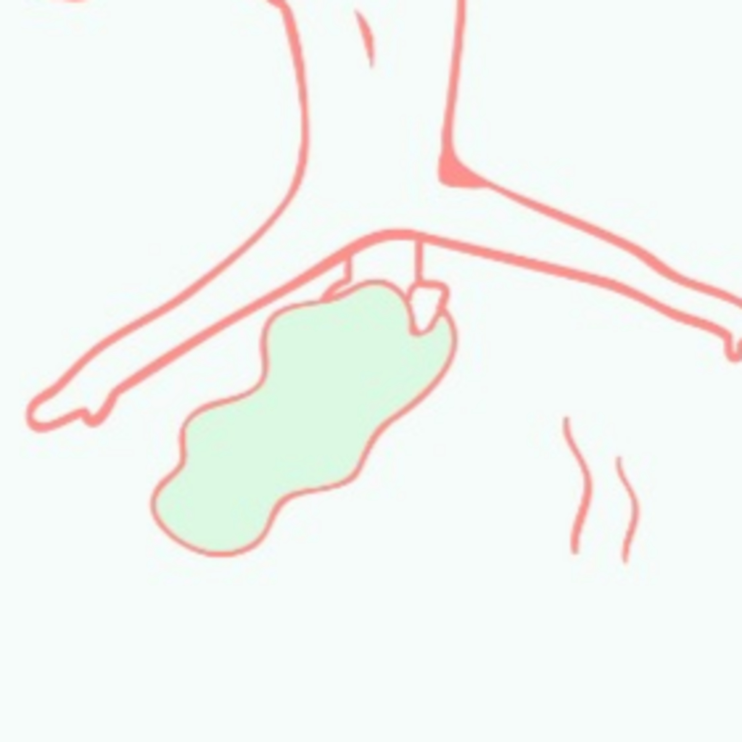Caída libre