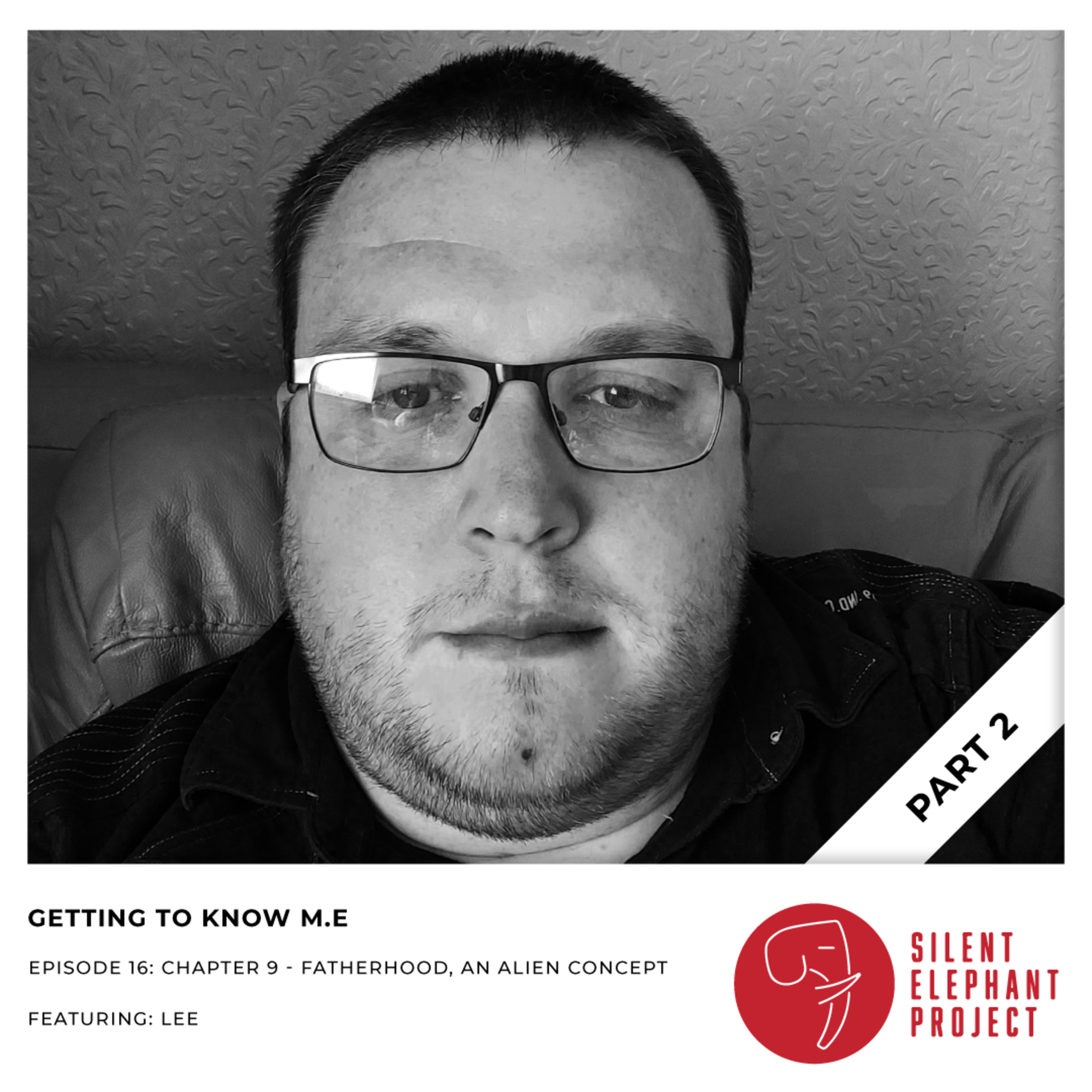 16. Getting to know ME: Chapter 9 (Fatherhood, an Alien Concept) episode artwork