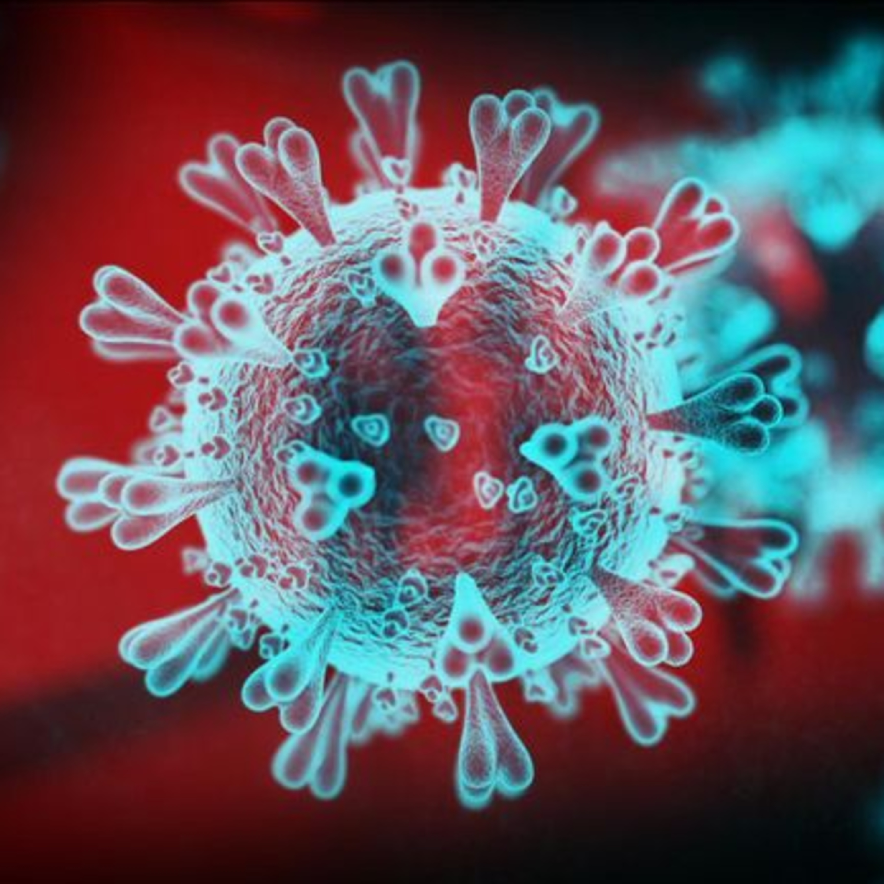 Coronavirus y diabetes