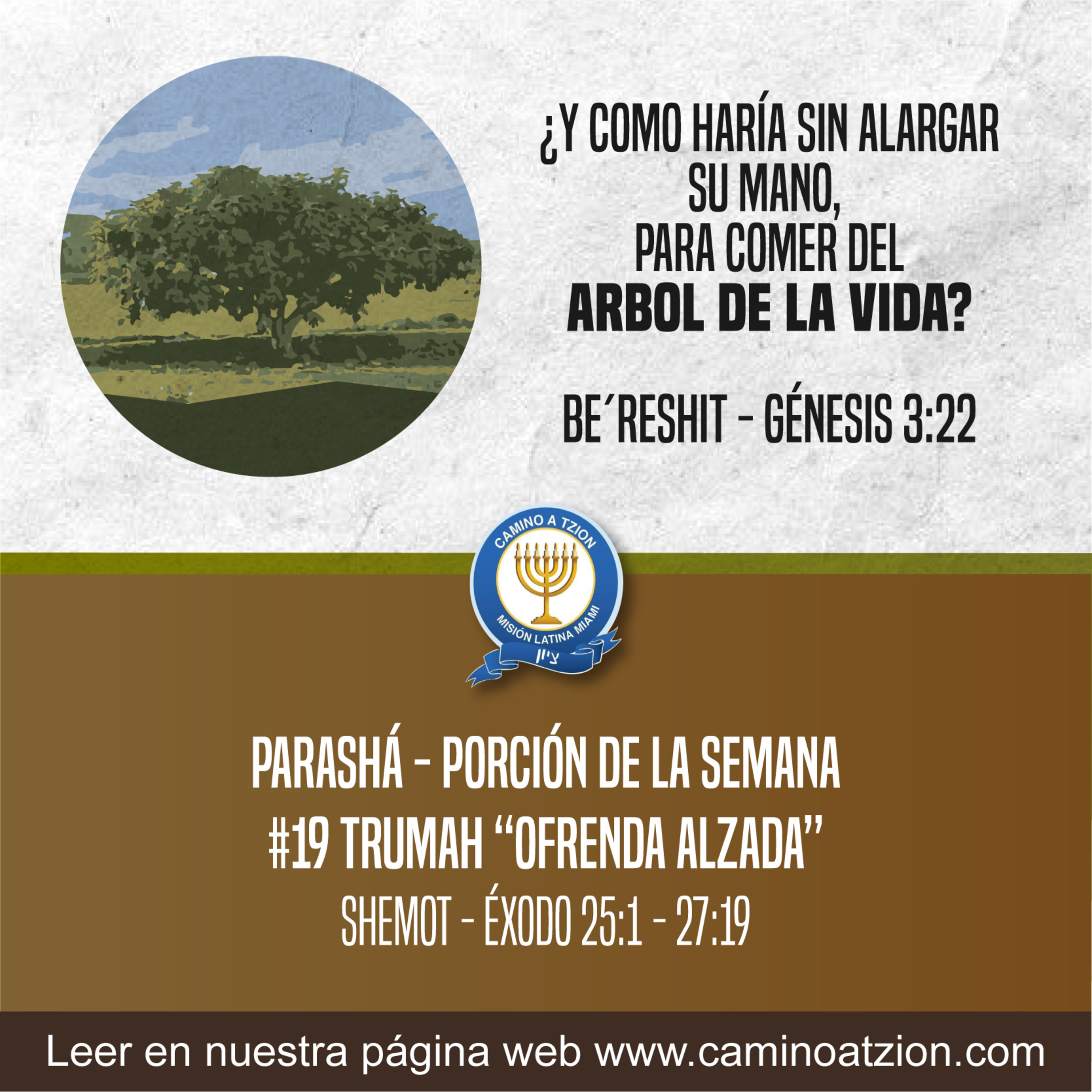 MISIÓN LATINA MIAMI, CAMINO A TZION