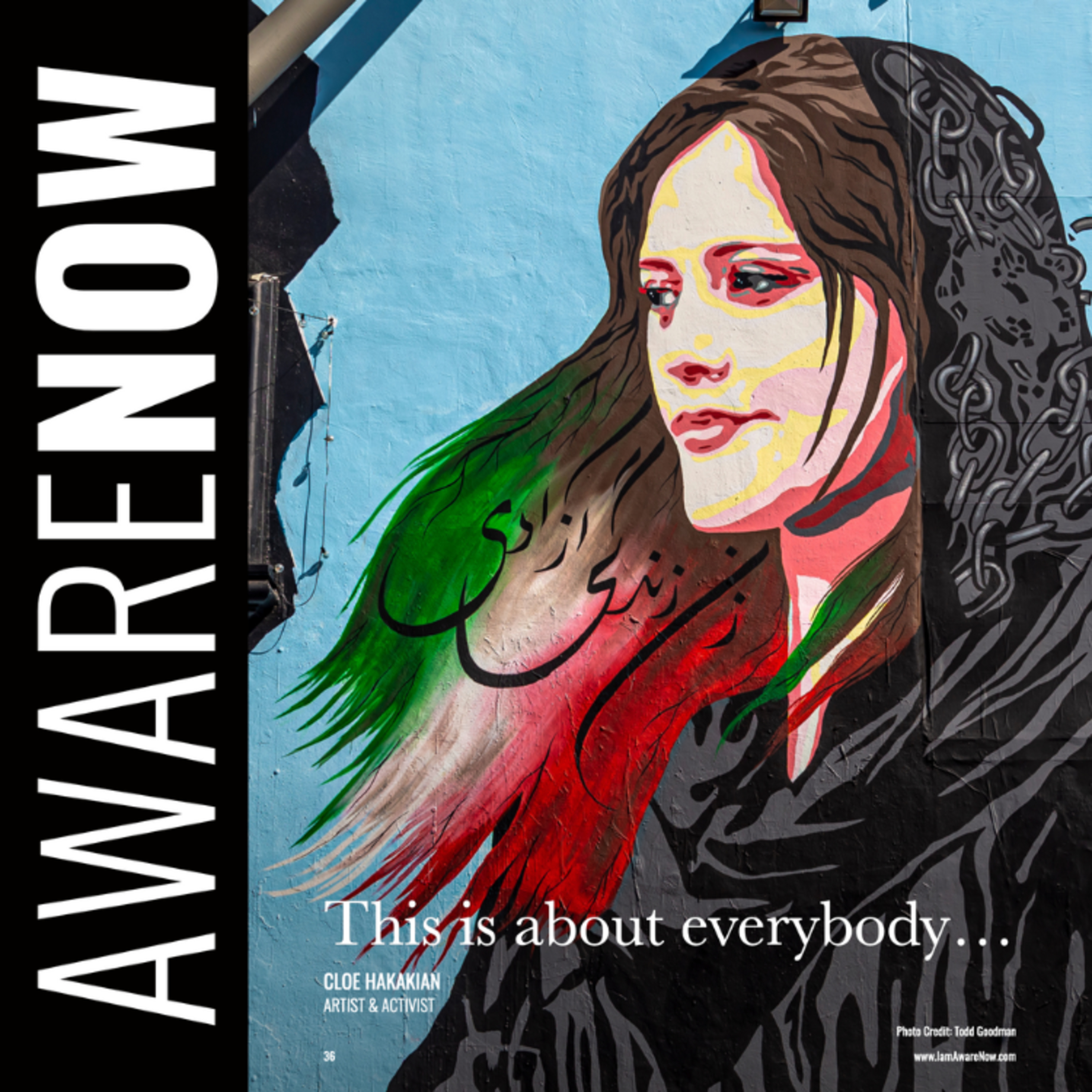 Exclusive Interview with Todd Goodman & Cloe Hakakian: 'In Honor Of Mahsa' episode artwork