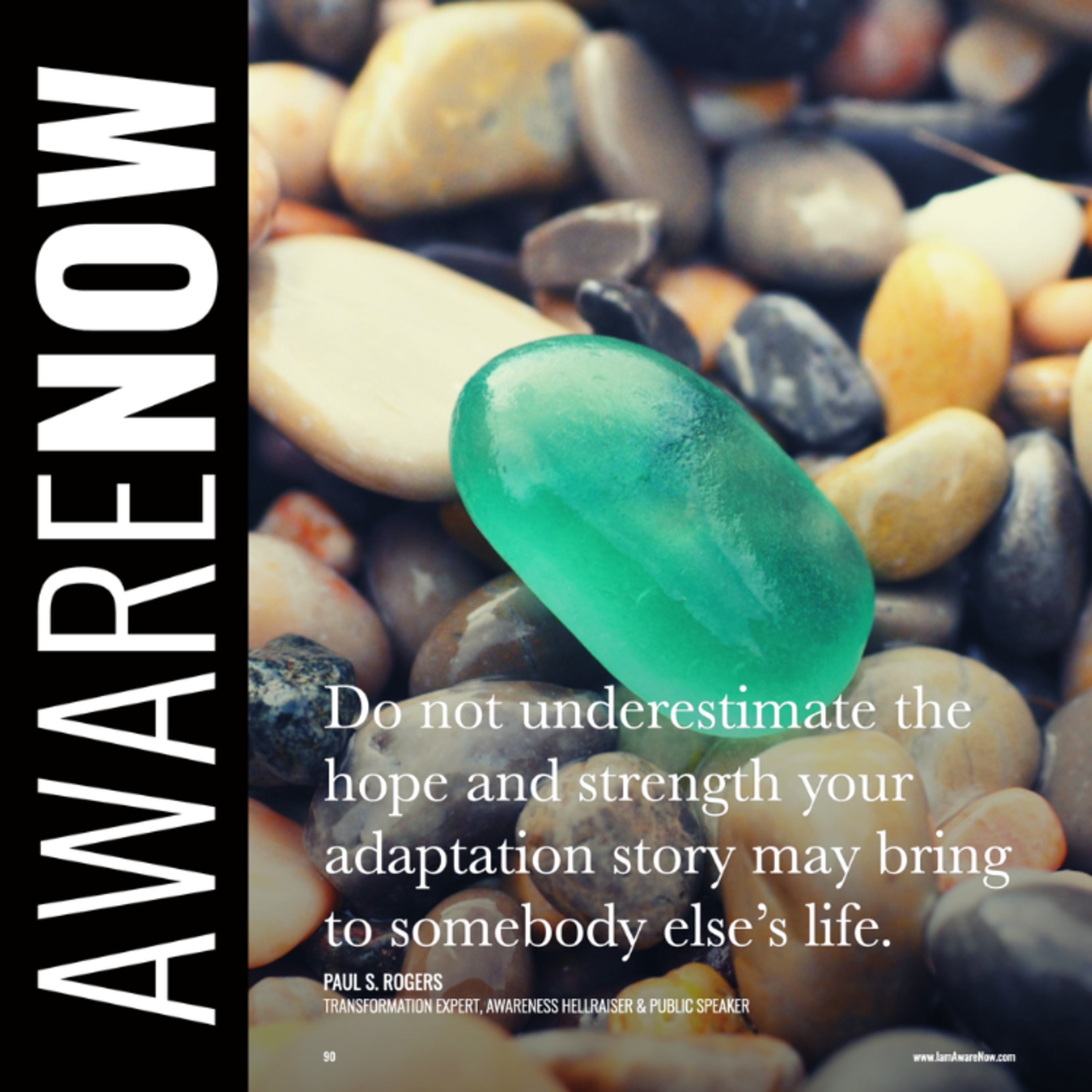 Feature Story by Paul S. Rogers: 'Adaptation' episode artwork