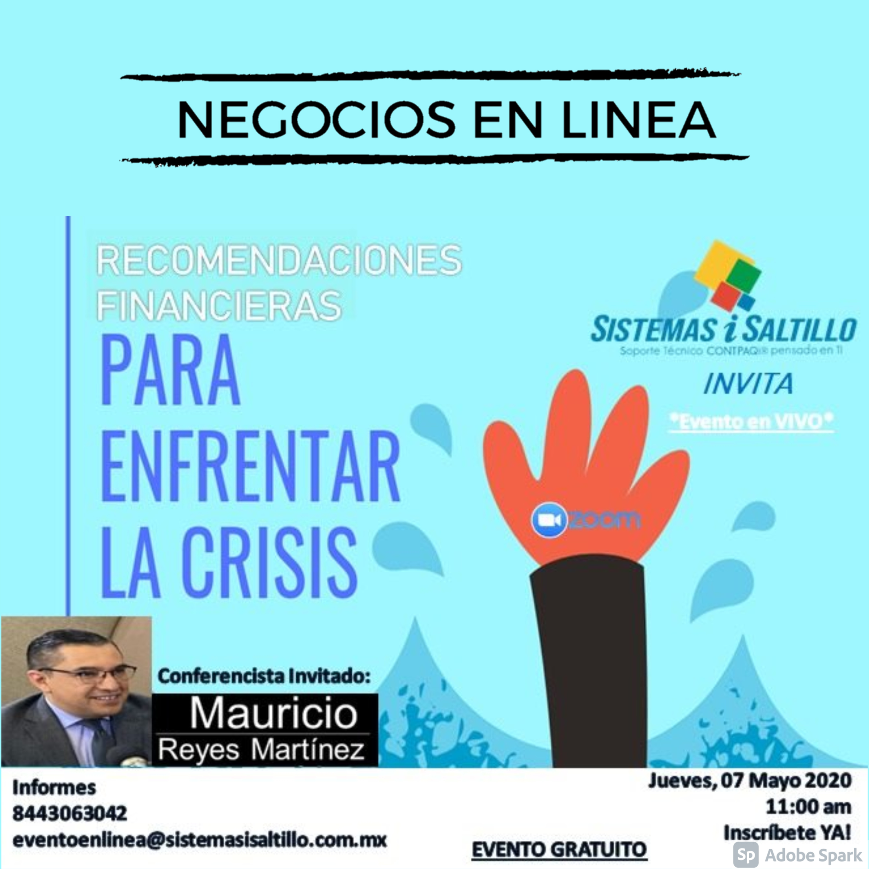NEGOCIOSENLINEA