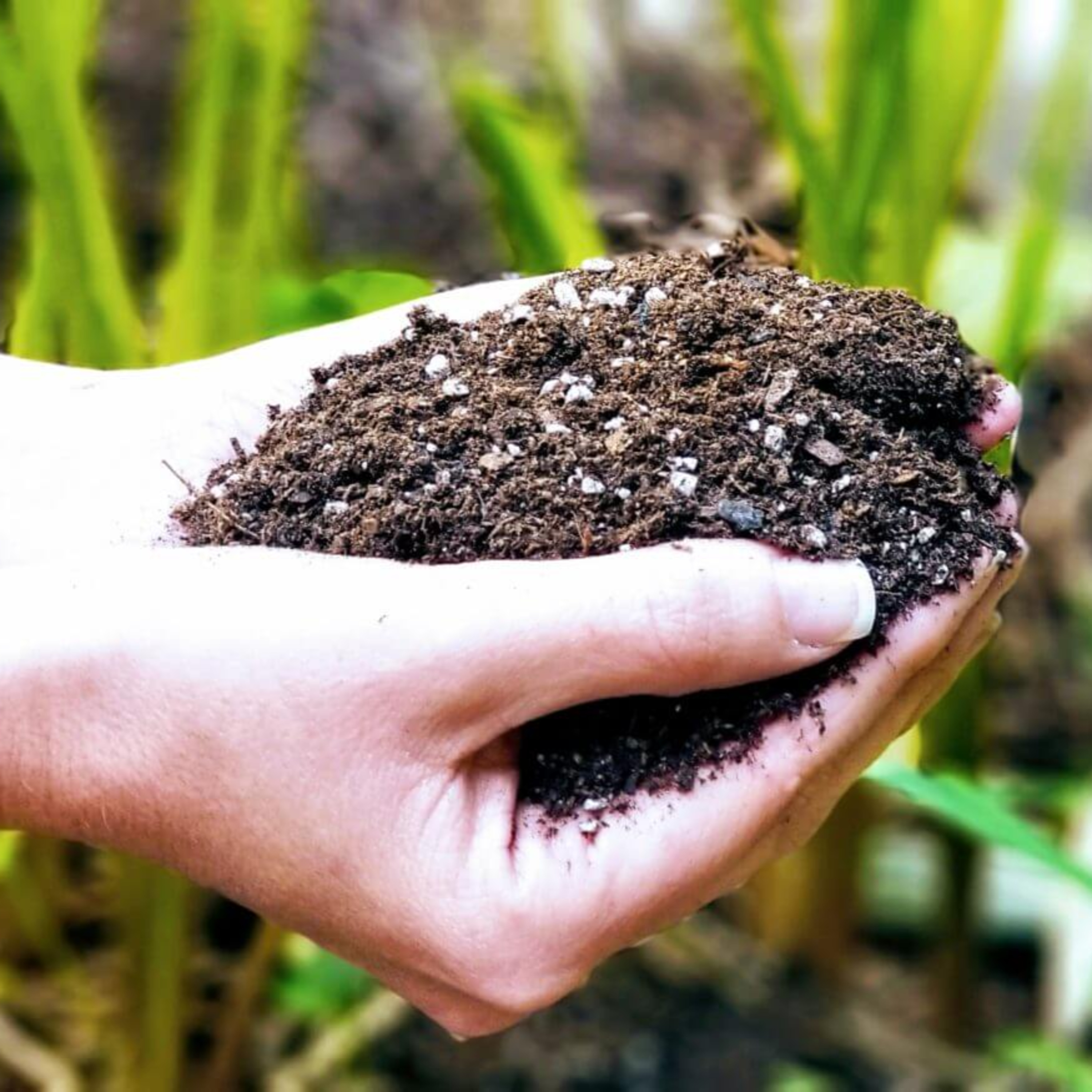 From Oil to Soil: the shift, \