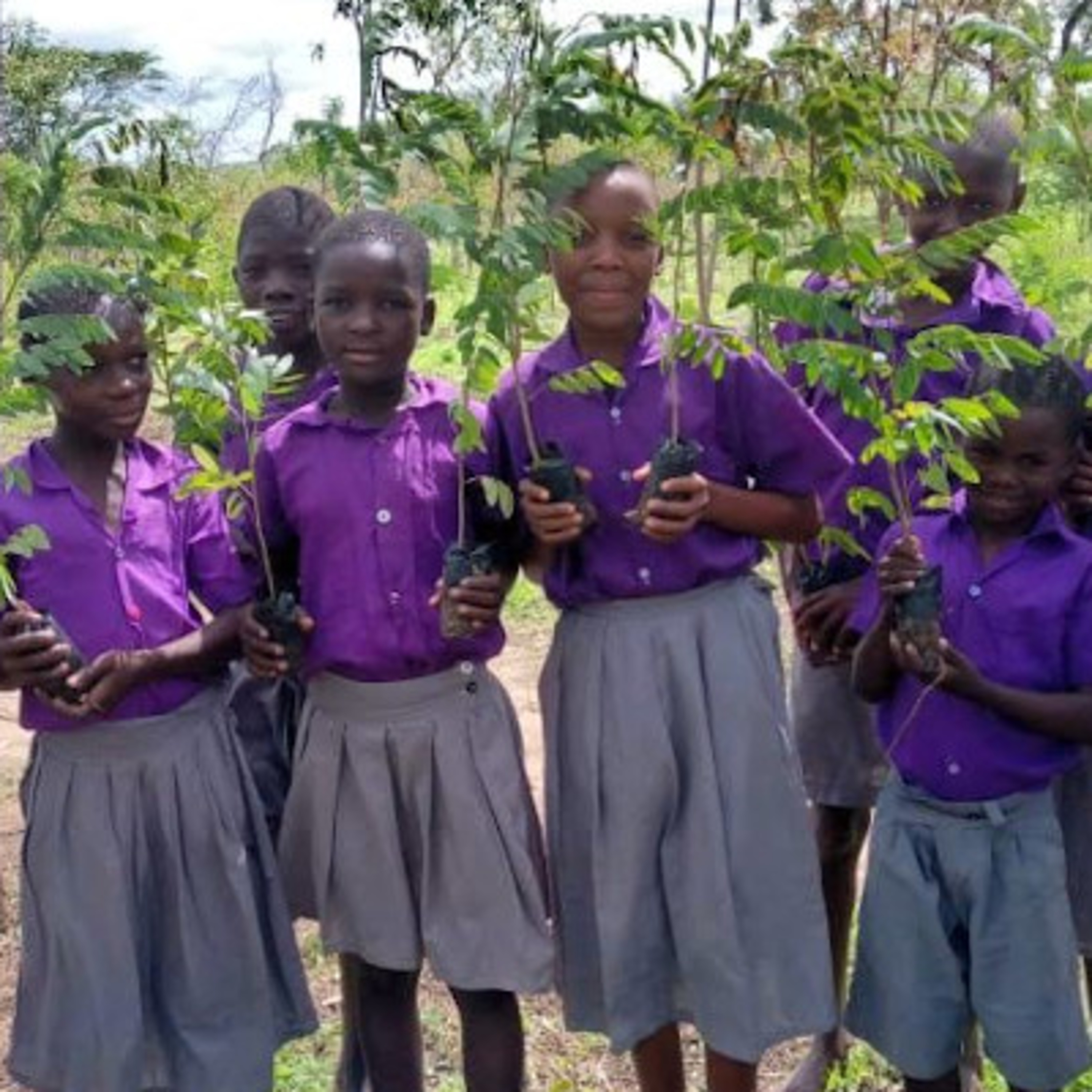 From Oil to Soil: the shift, \