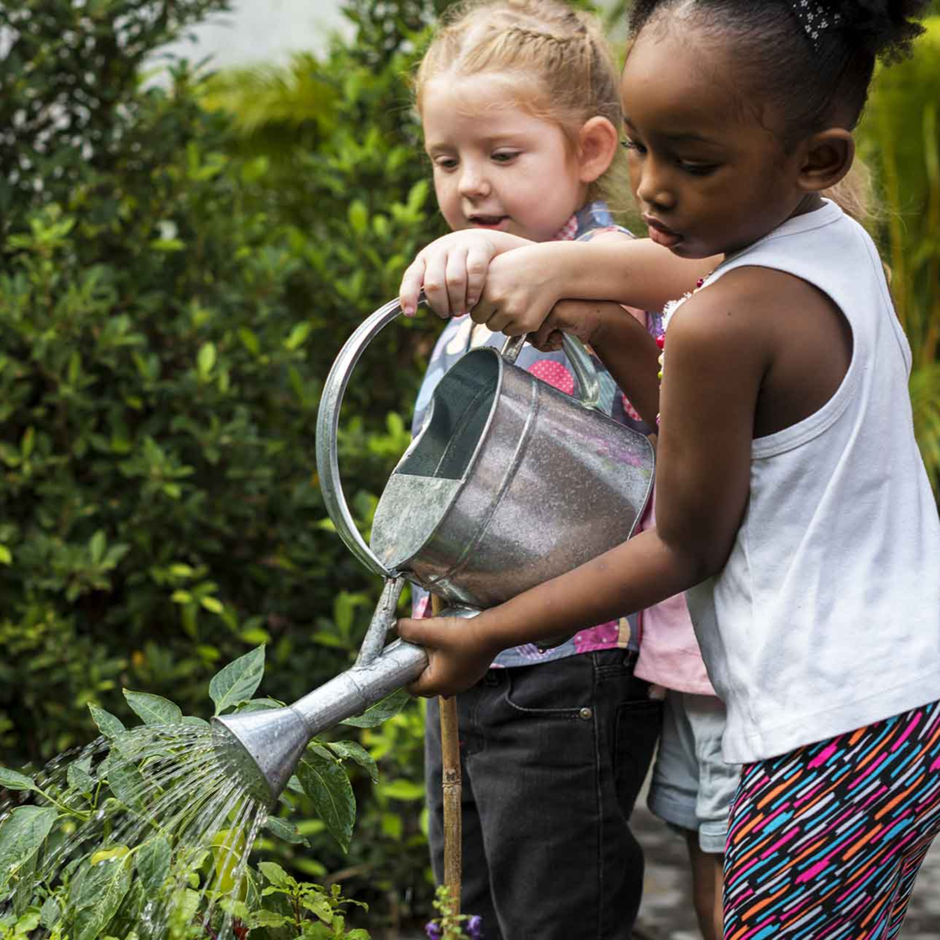 From Oil to Soil: the shift, \