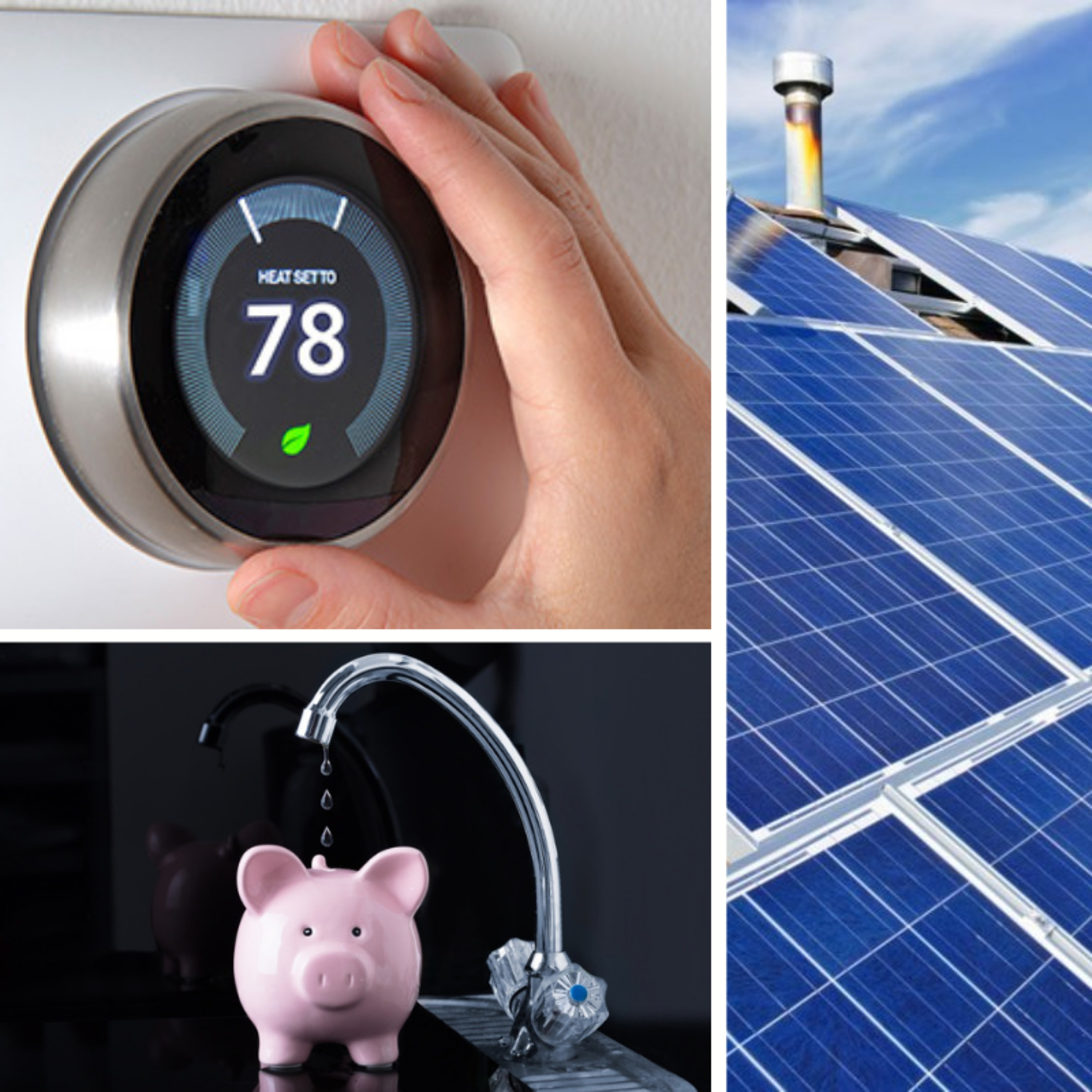 From Oil to Soil: the shift, \