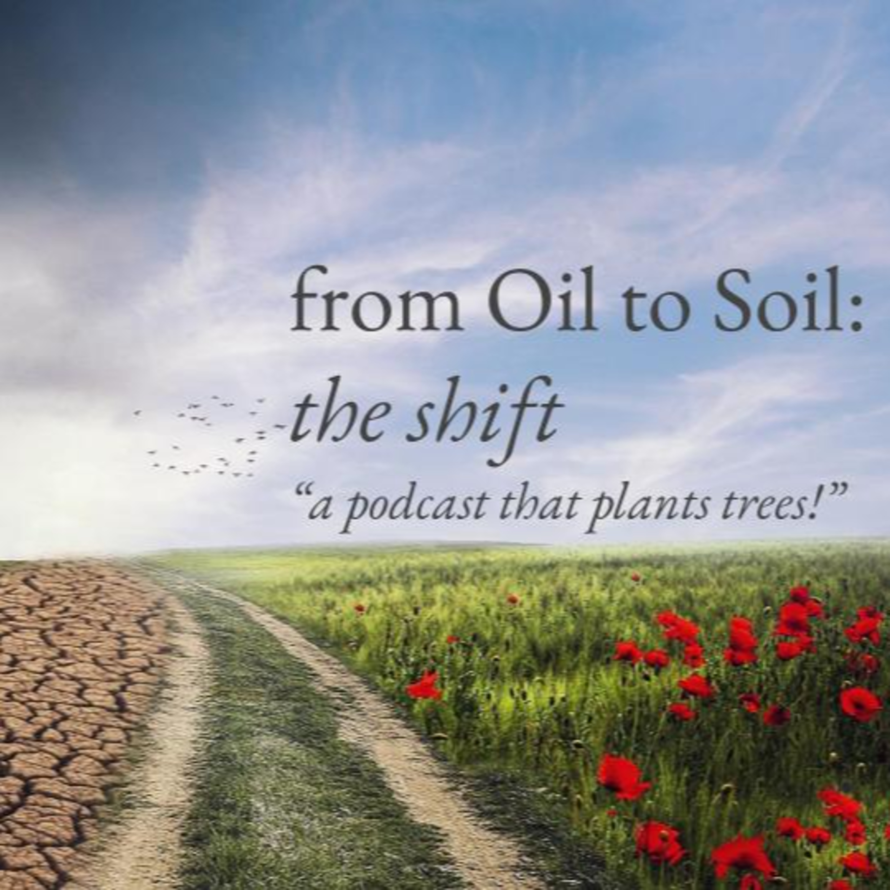 From Oil to Soil: the shift, \
