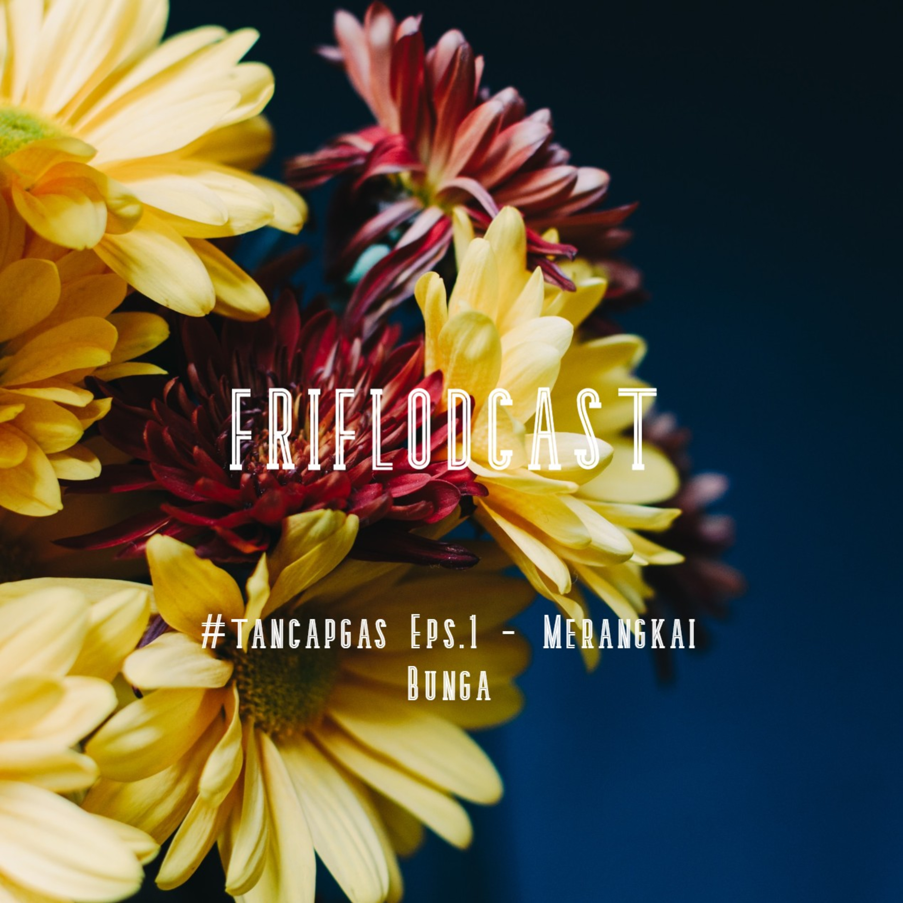 Friflodcast