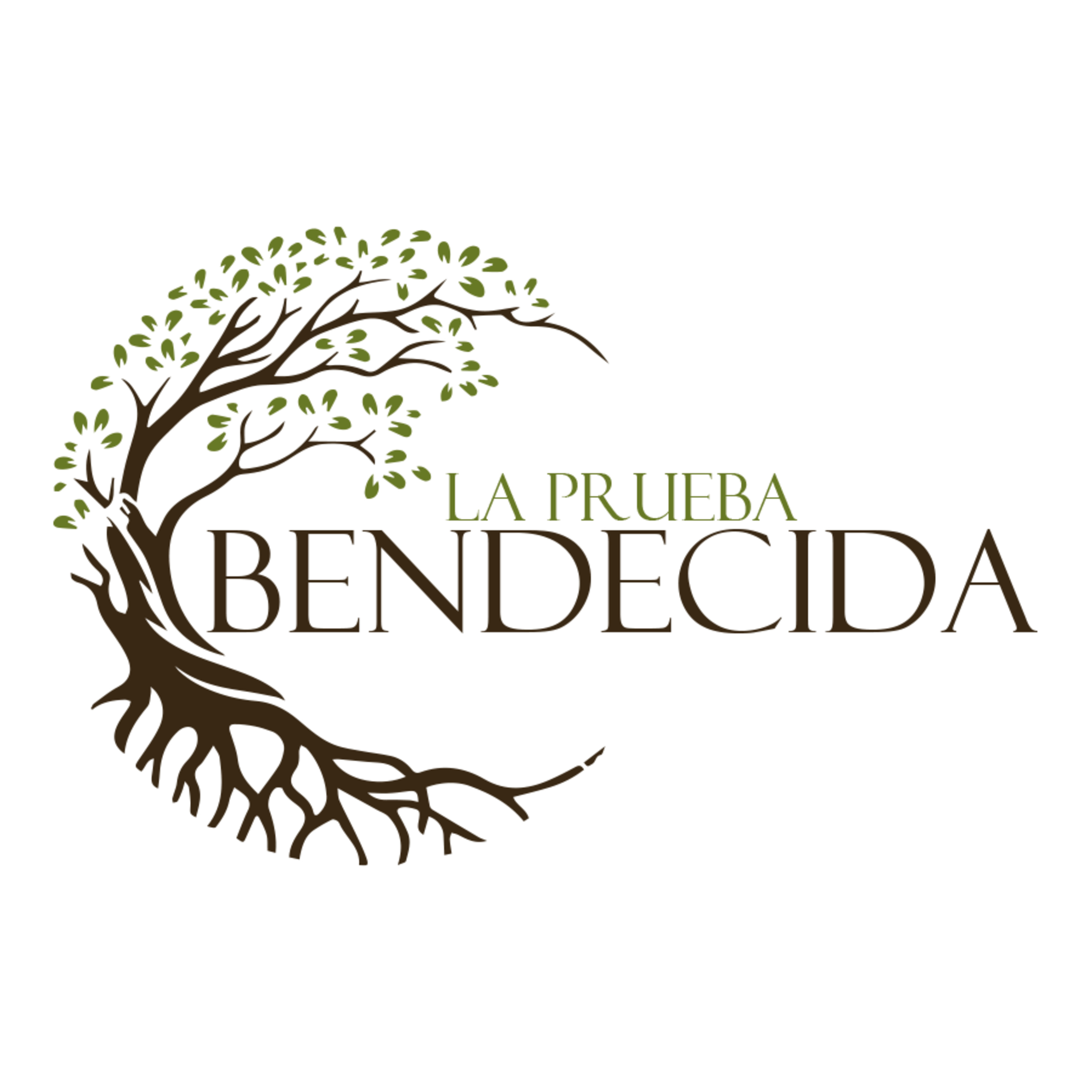 1-2 Nacimos para ser bendecidos. episode artwork