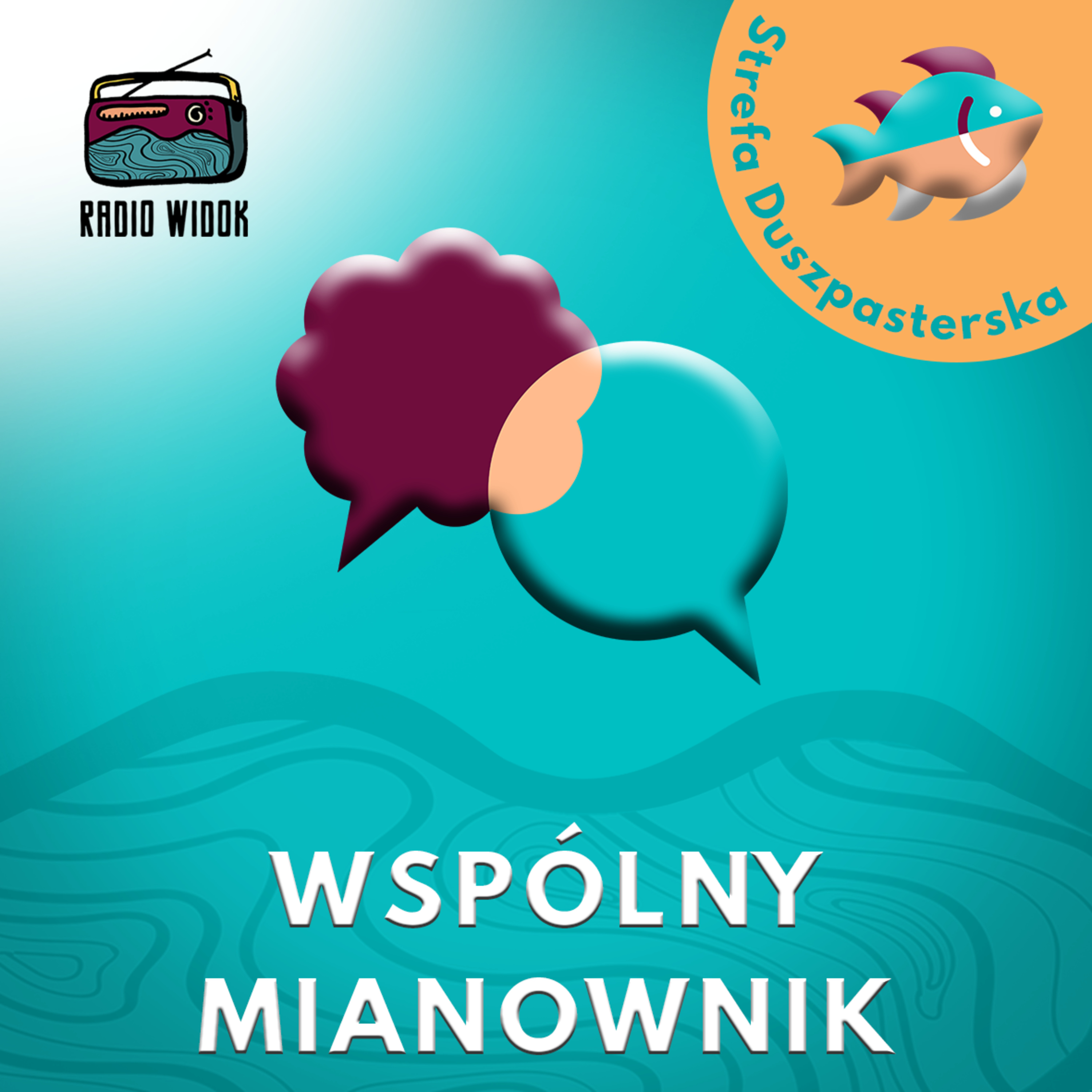 Radio Widok
