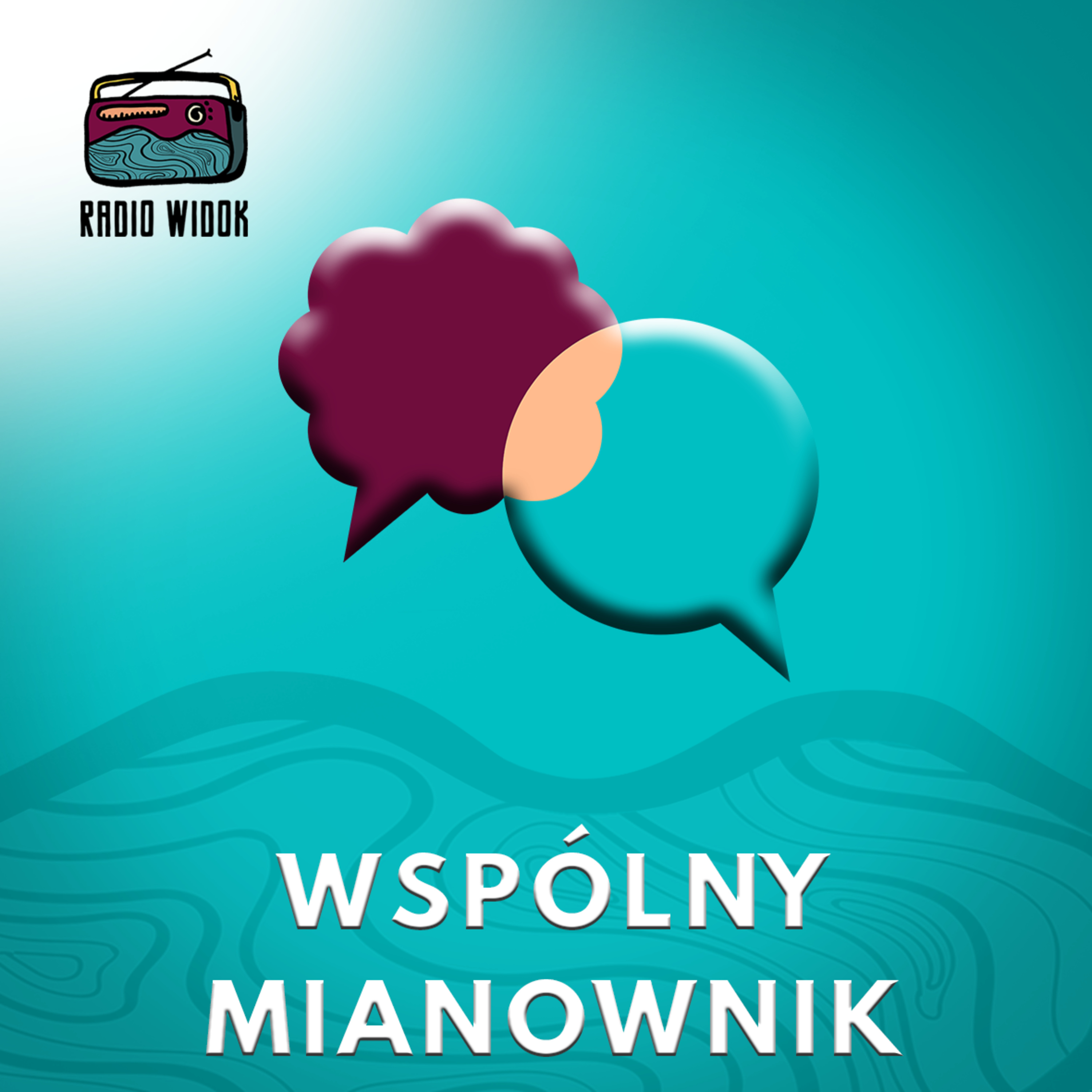 Radio Widok