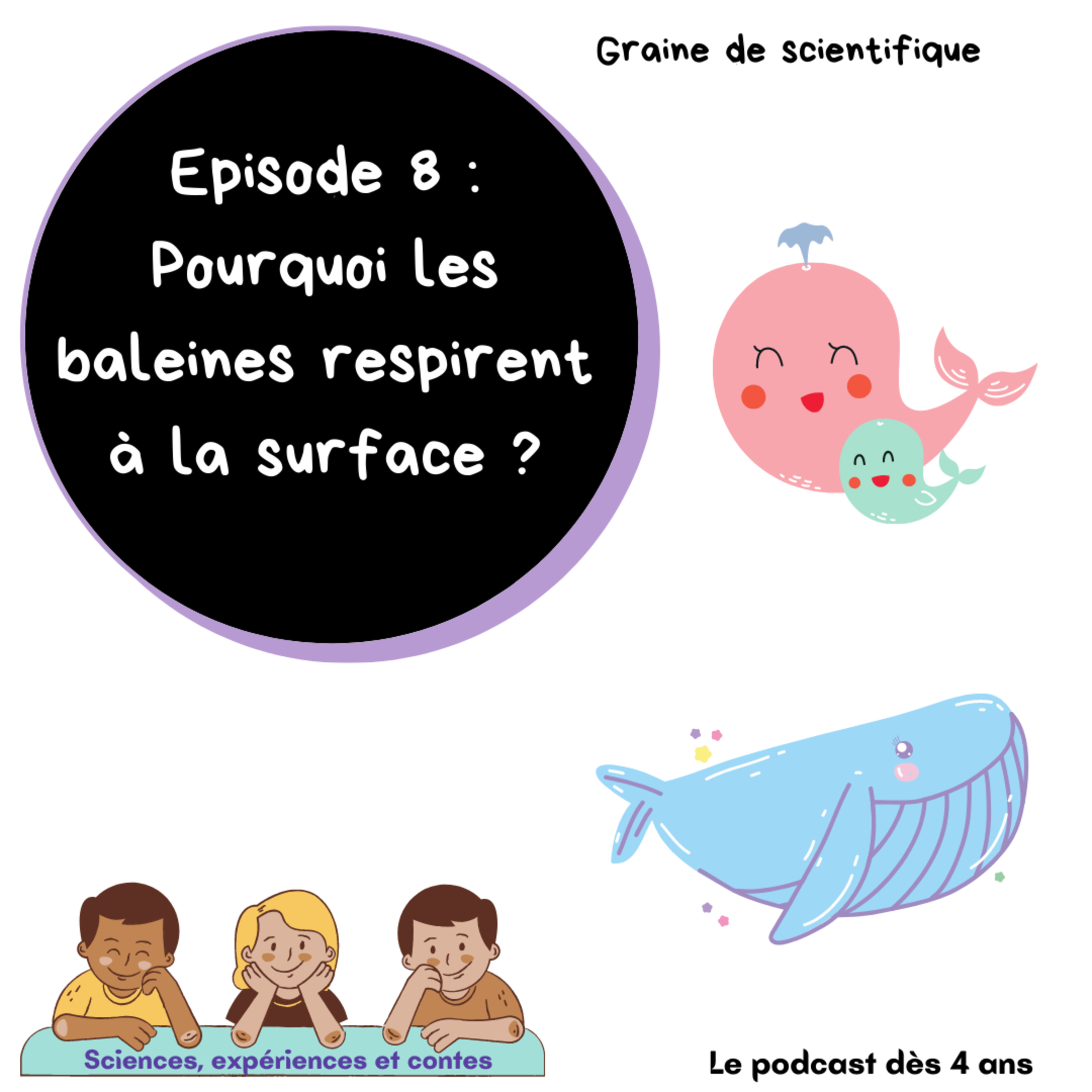 8 - Pourquoi les baleines respirent à la surface alors qu’elles vivent dans l’eau ?