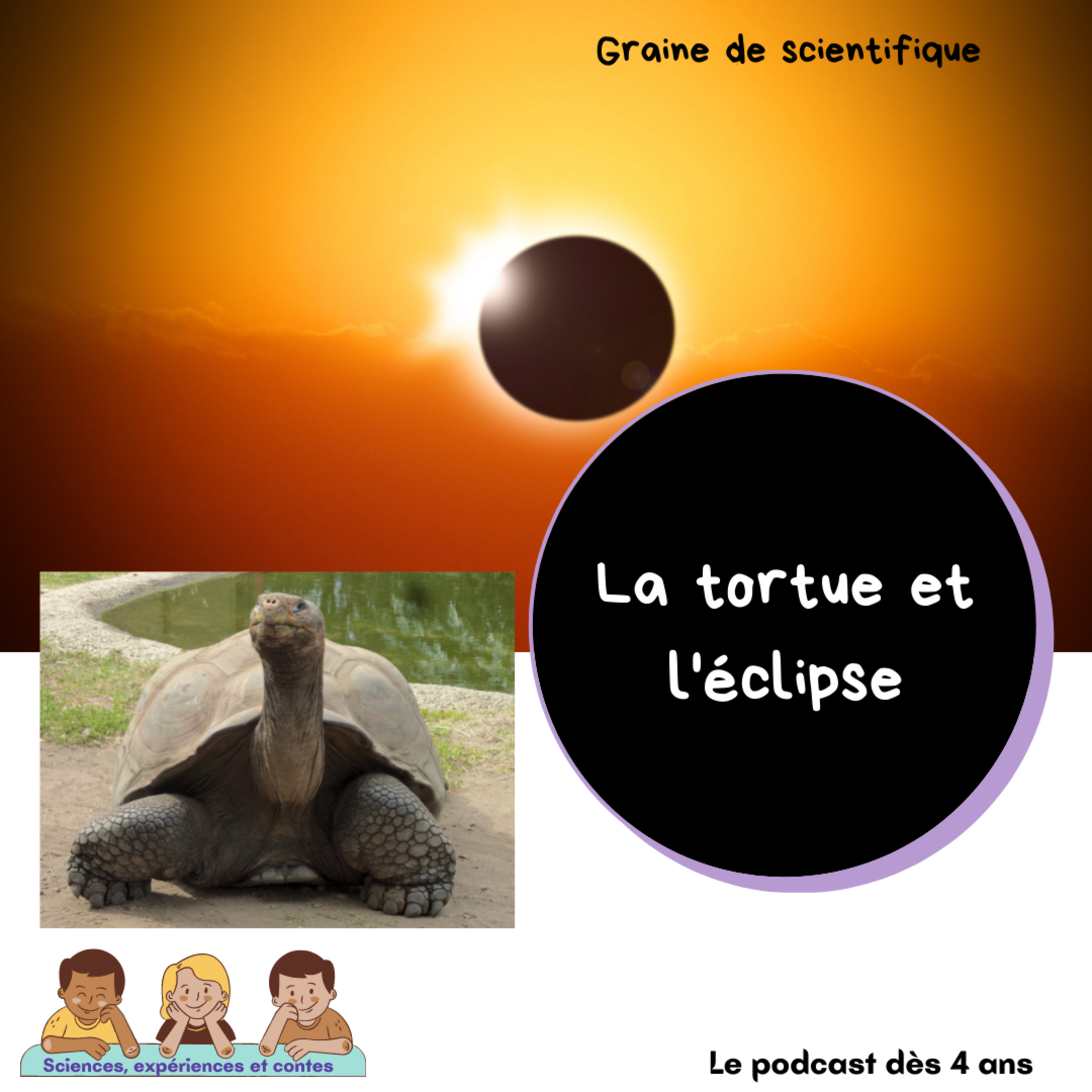 22 bis - La tortue et l'éclipse