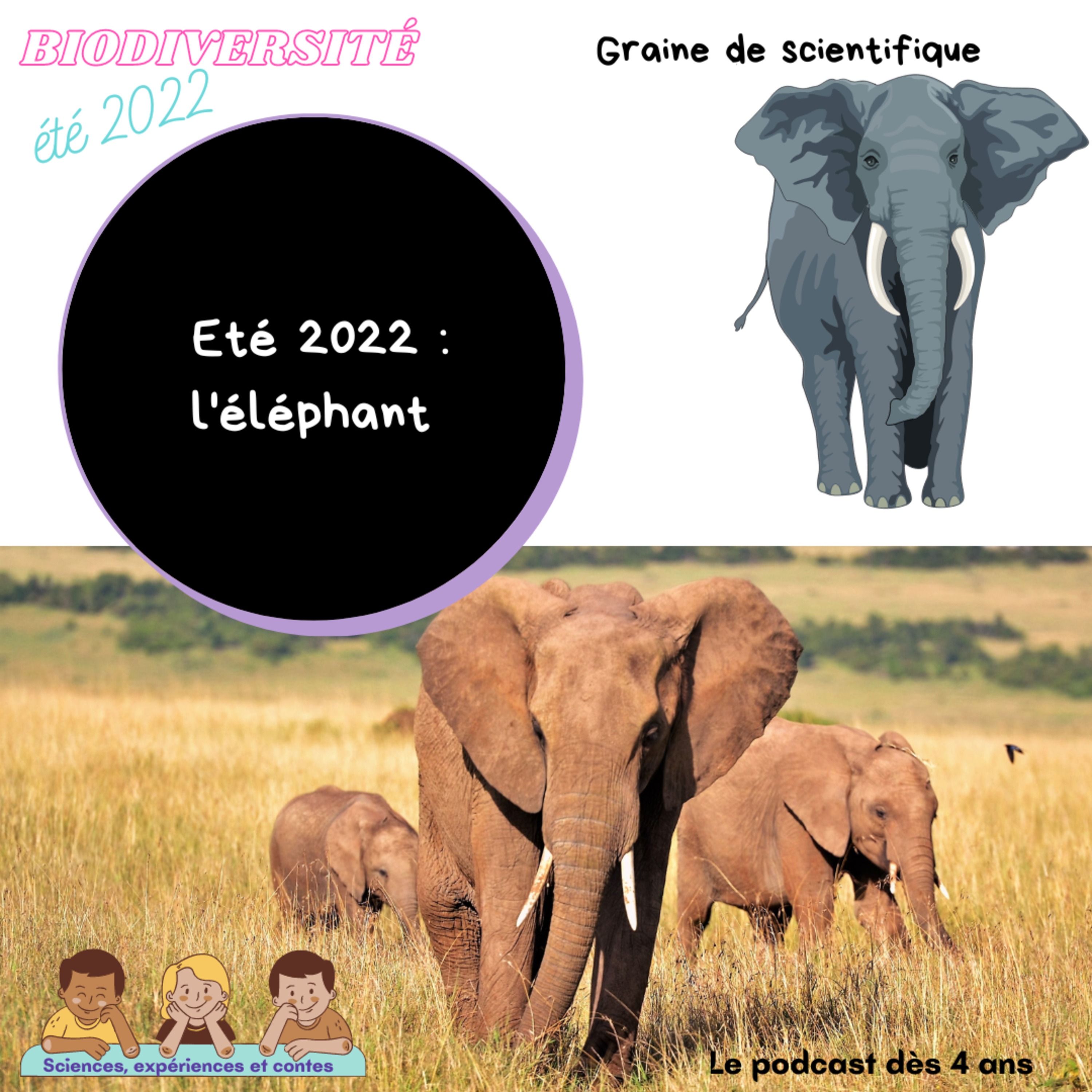 Graine de scientifique