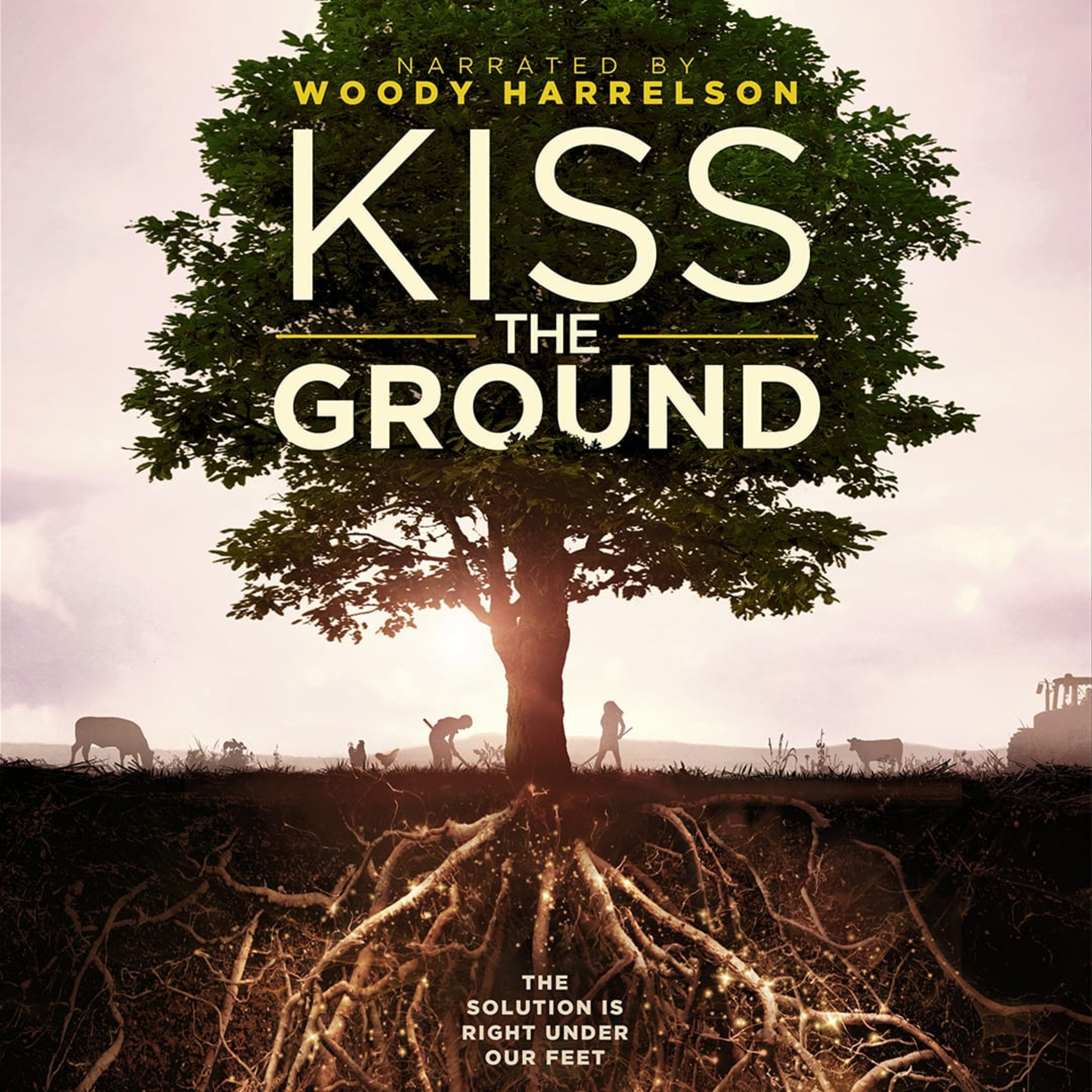 Kiss the Ground movie discussion for World Soil Day
