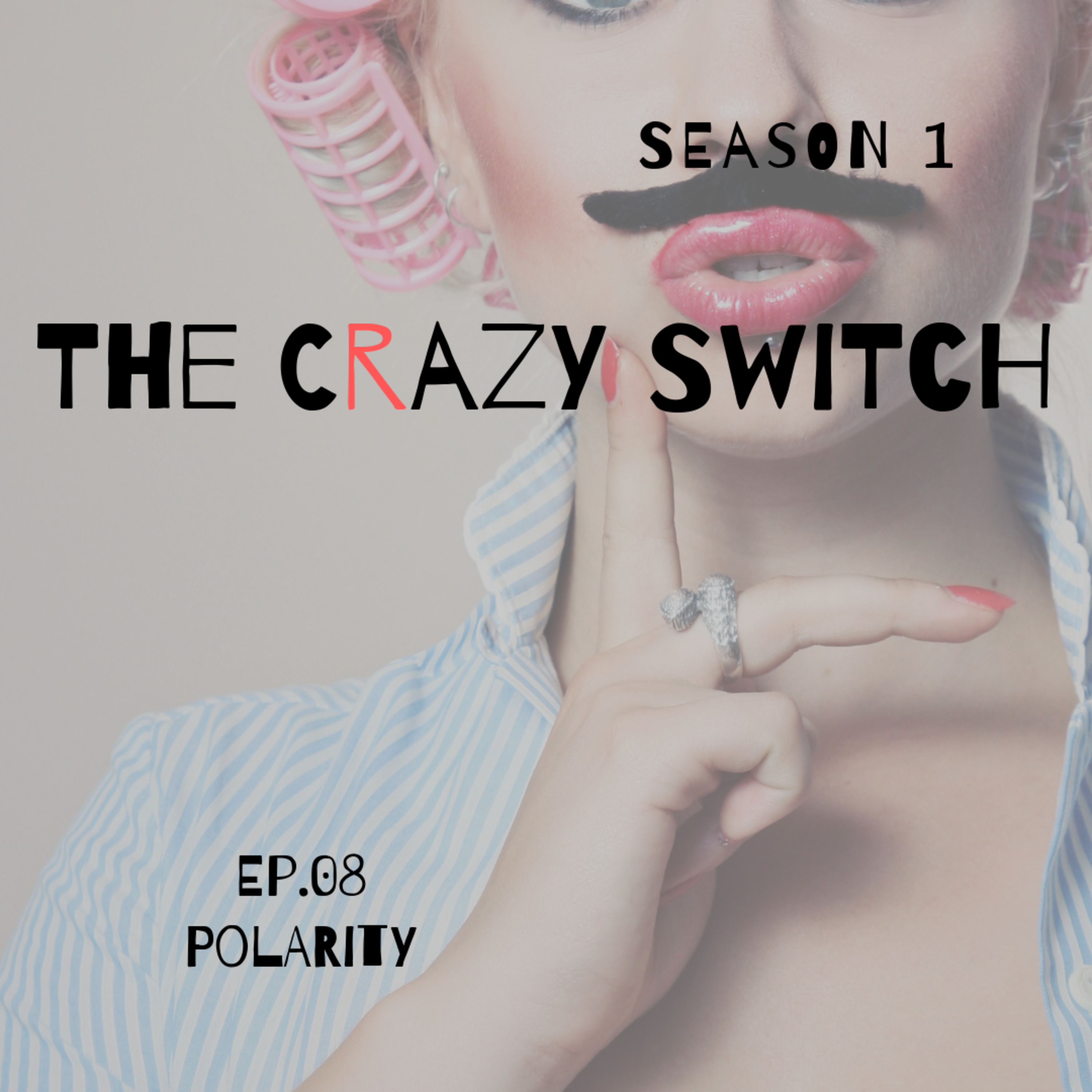 The Crazy Switch - S01E08 - Polarity The Crazy Switch - S01E08 - Polarity