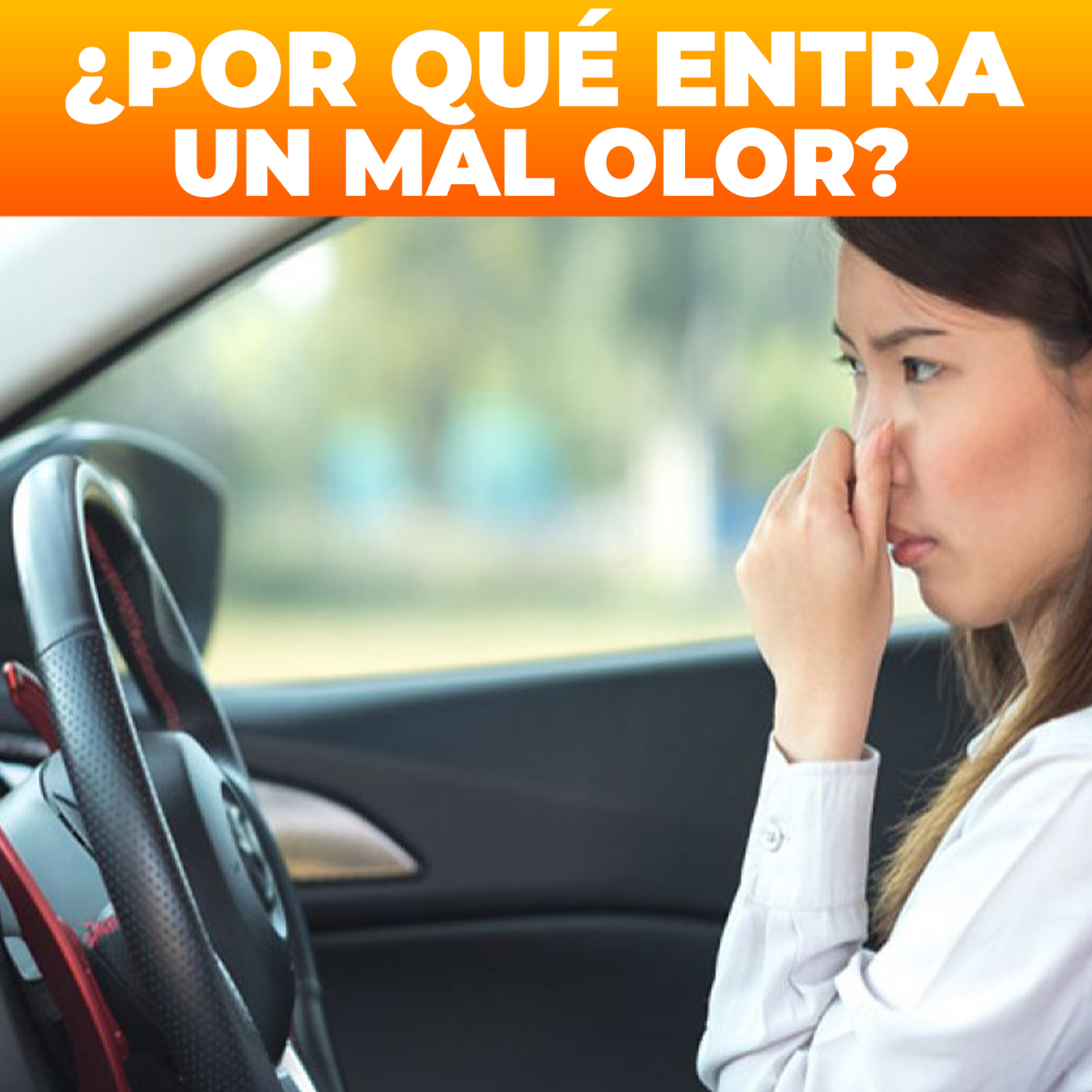 [TRUCO] EVITAR el MAL OLOR 💨 HUMO dentro de tu AUTO | THE DRIVER SHOW [EP 173]