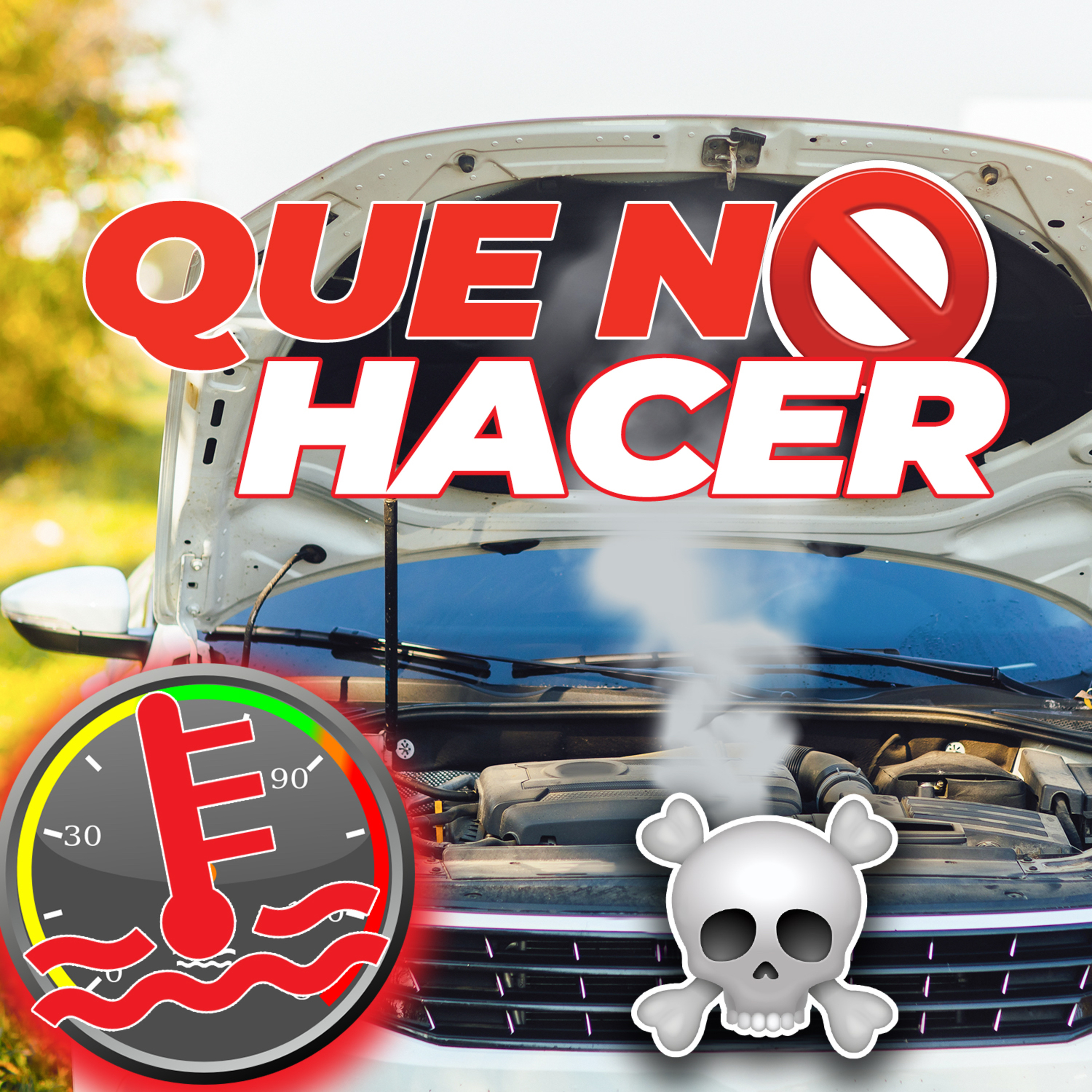Portada de #THEDRIVERSHOW 🏎️
