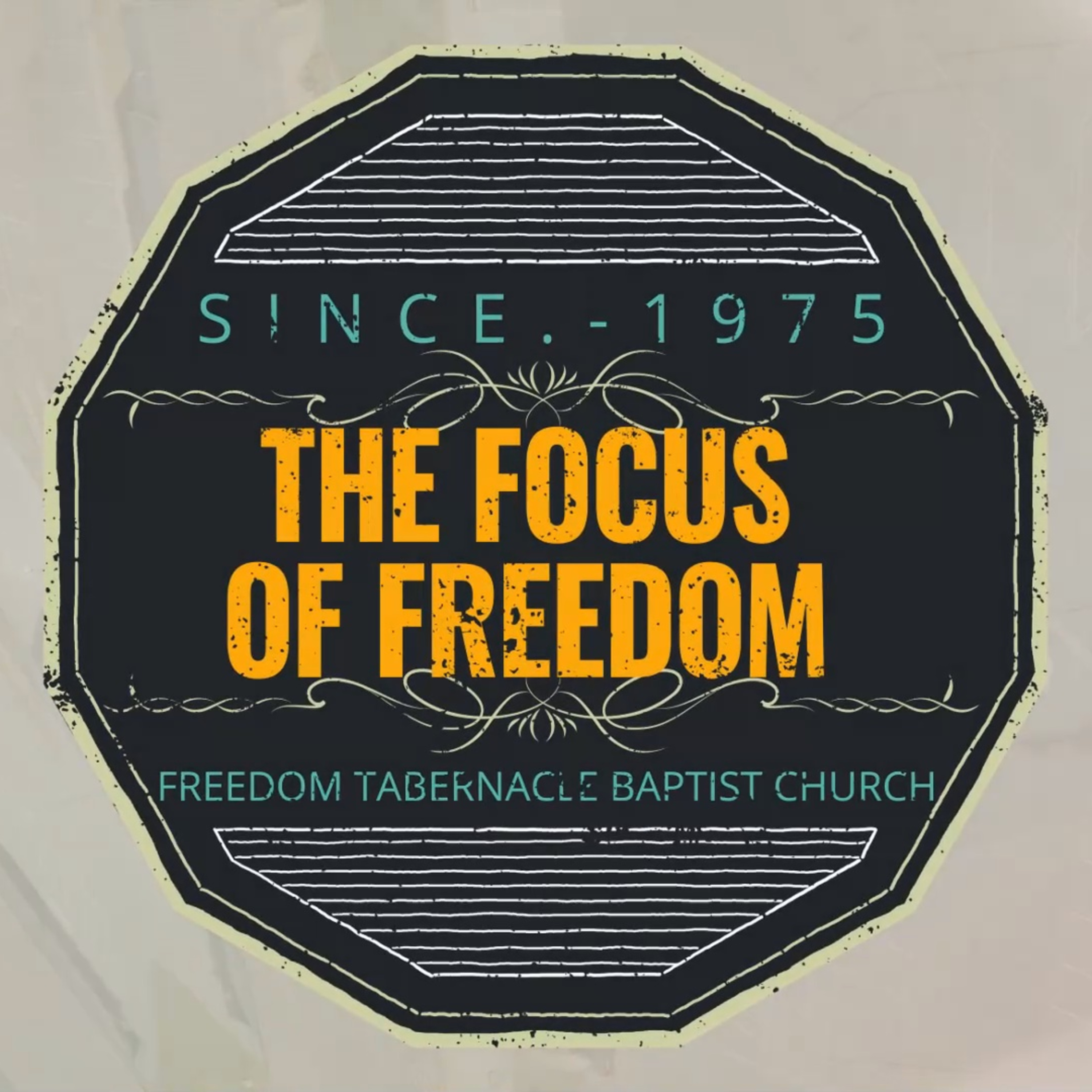 The Focus of Freedom #12