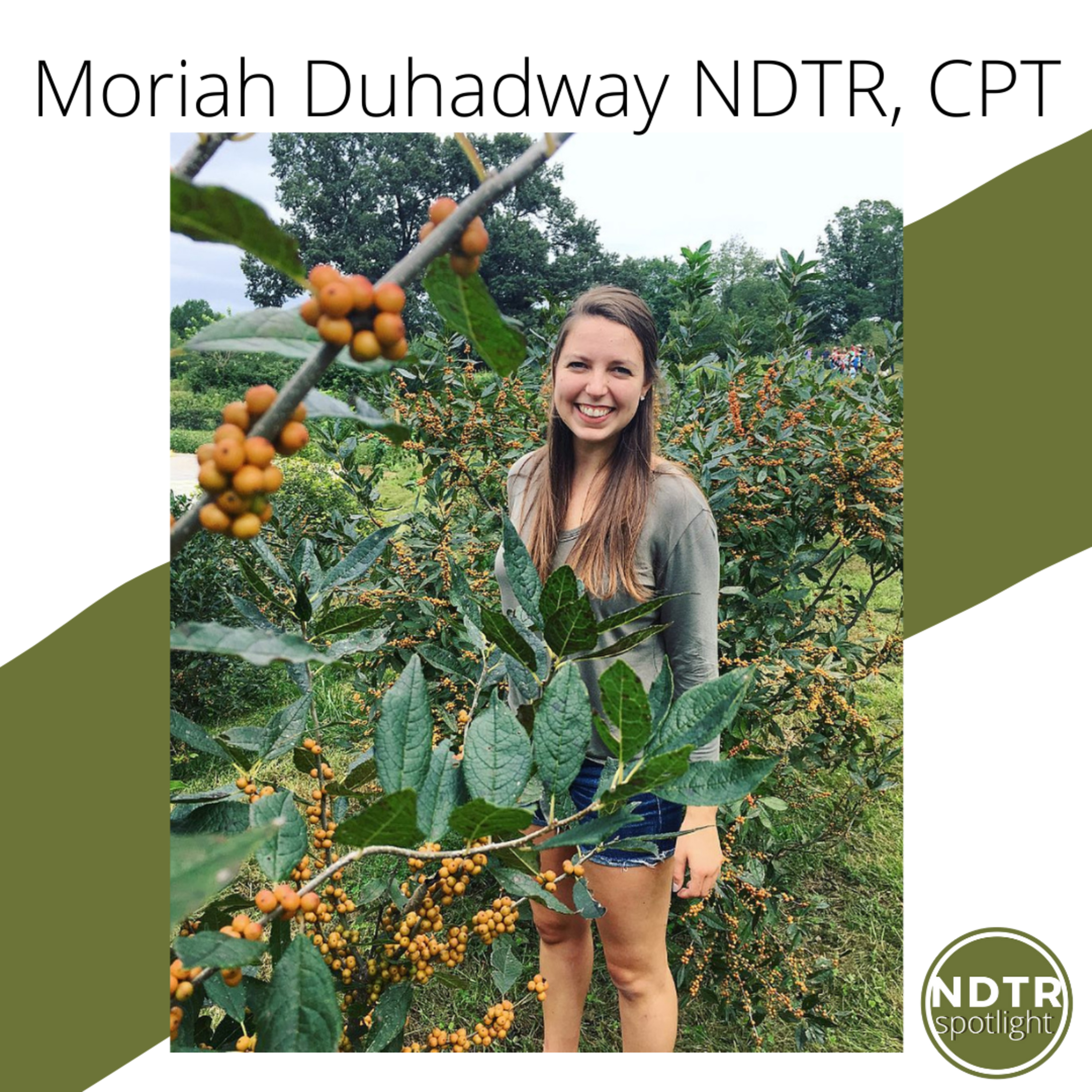 NDTR Spotlight