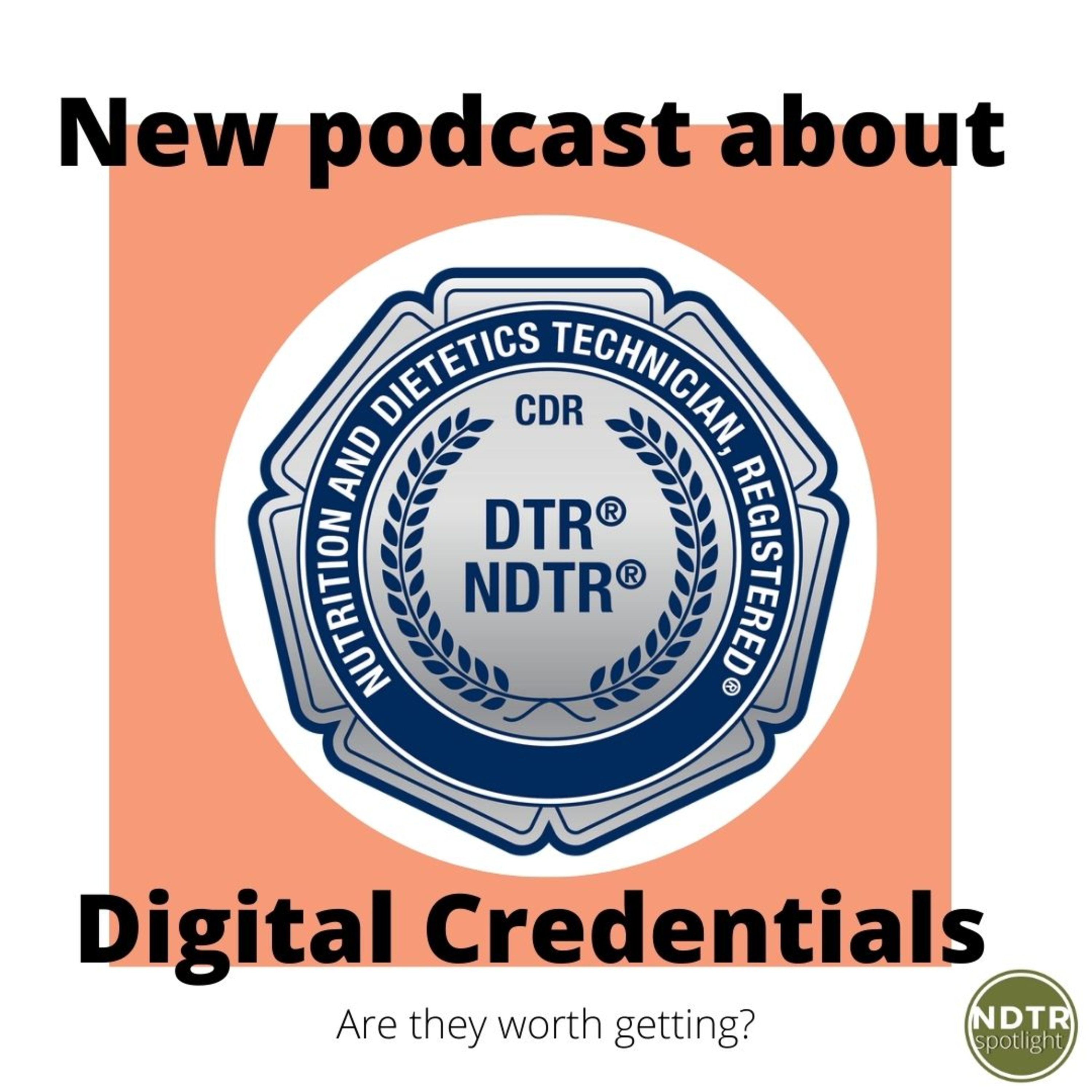 NDTR Spotlight