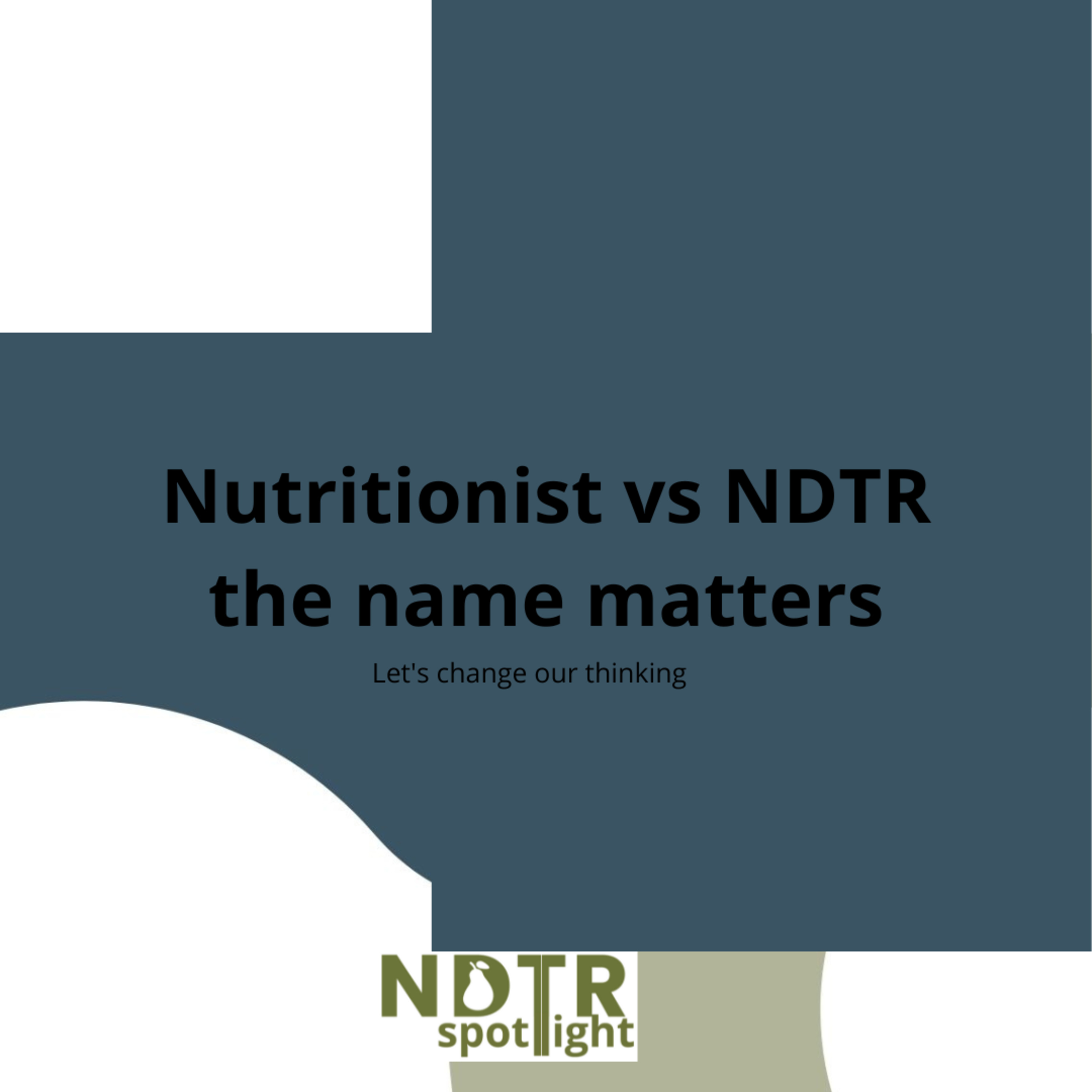 NDTR Spotlight