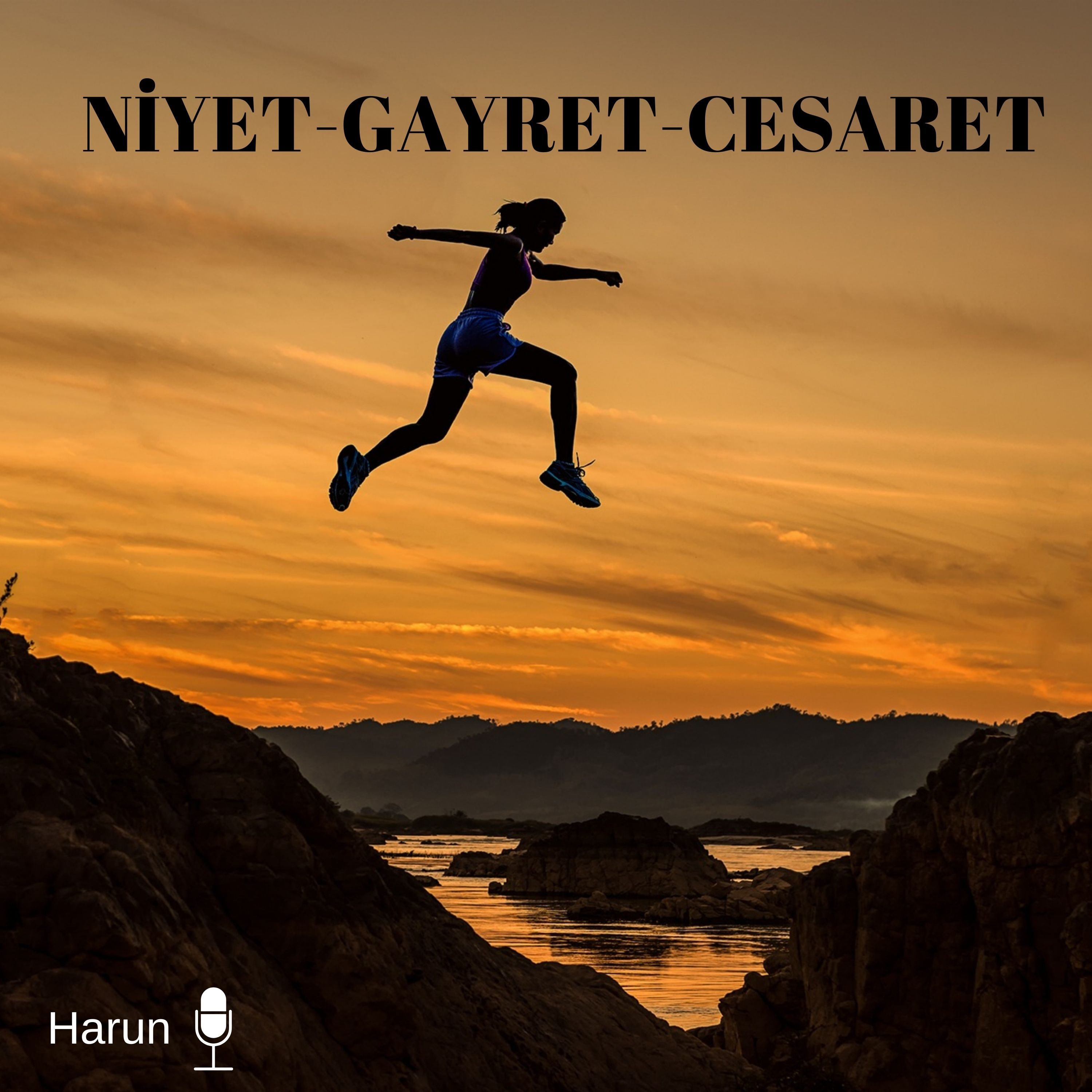 Niyet-Gayret-Cesaret