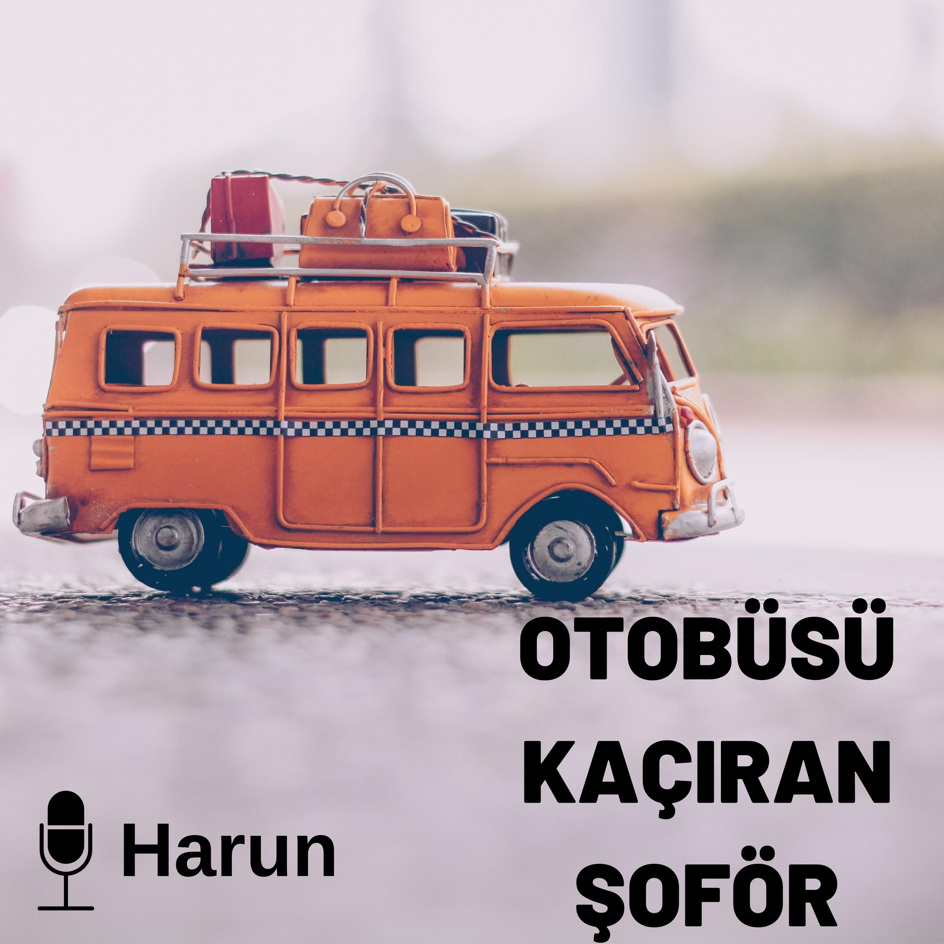Otobüsü Kaçıran Şoför