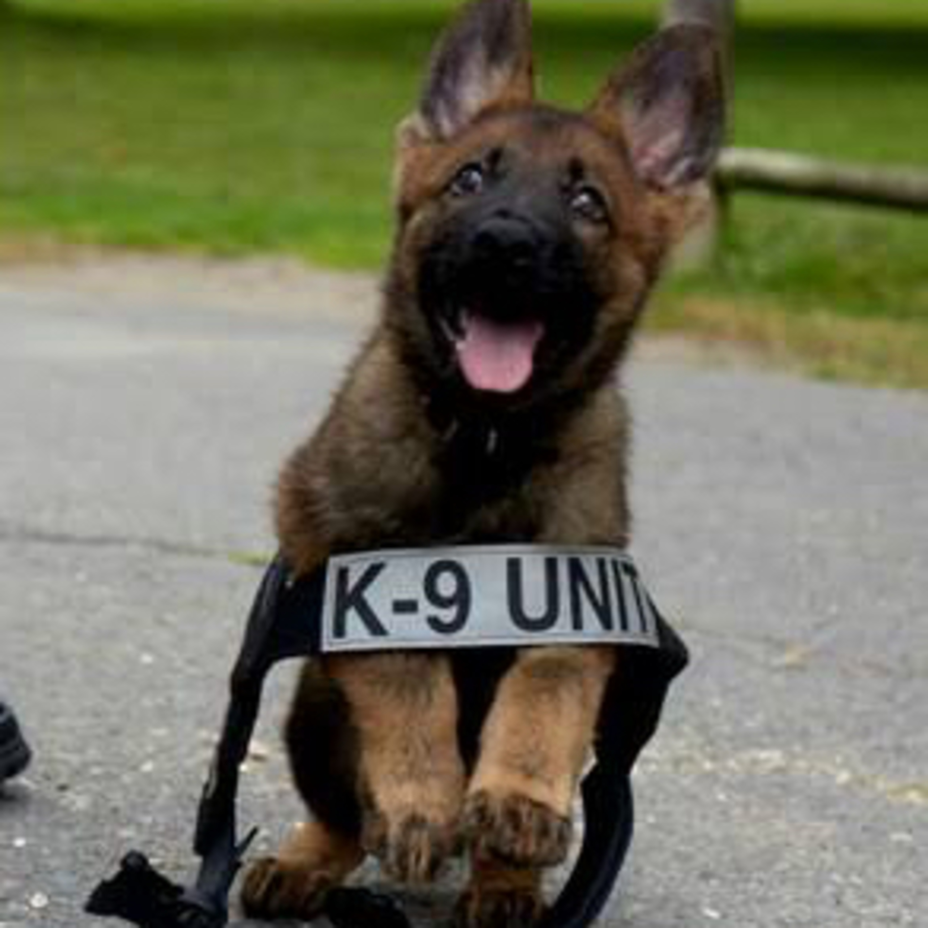 Preguntale al Entrenador