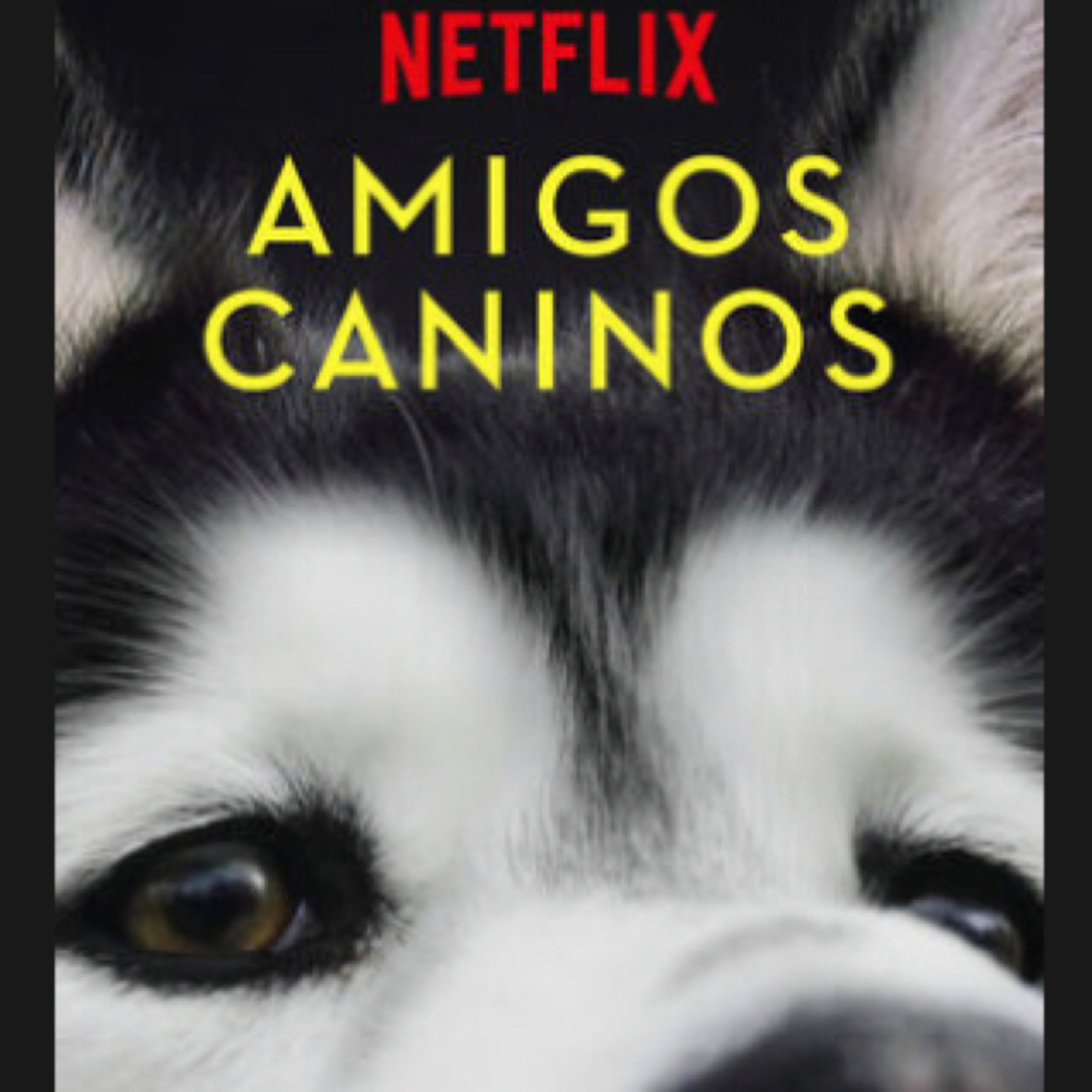 Preguntale al Entrenador