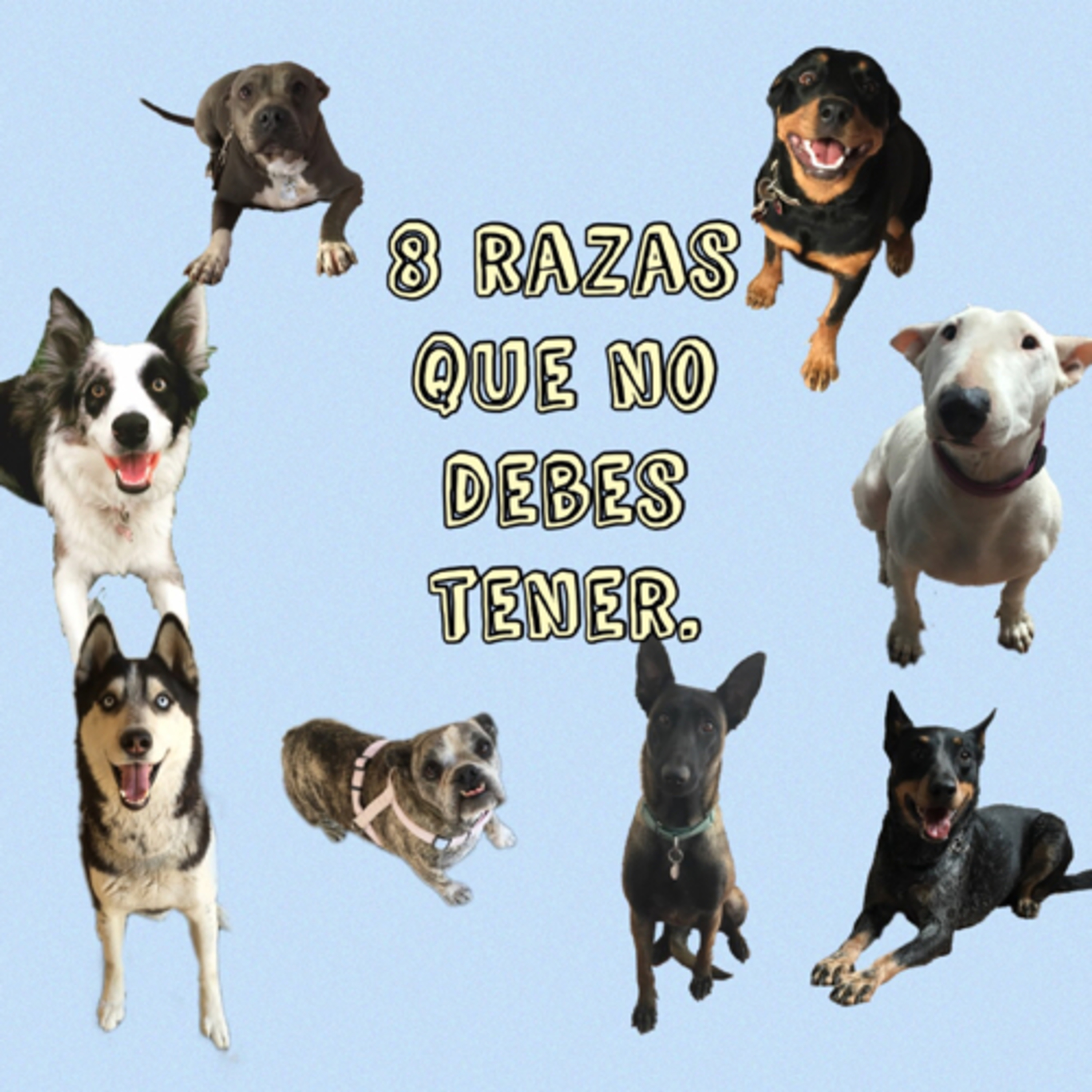 Preguntale al Entrenador