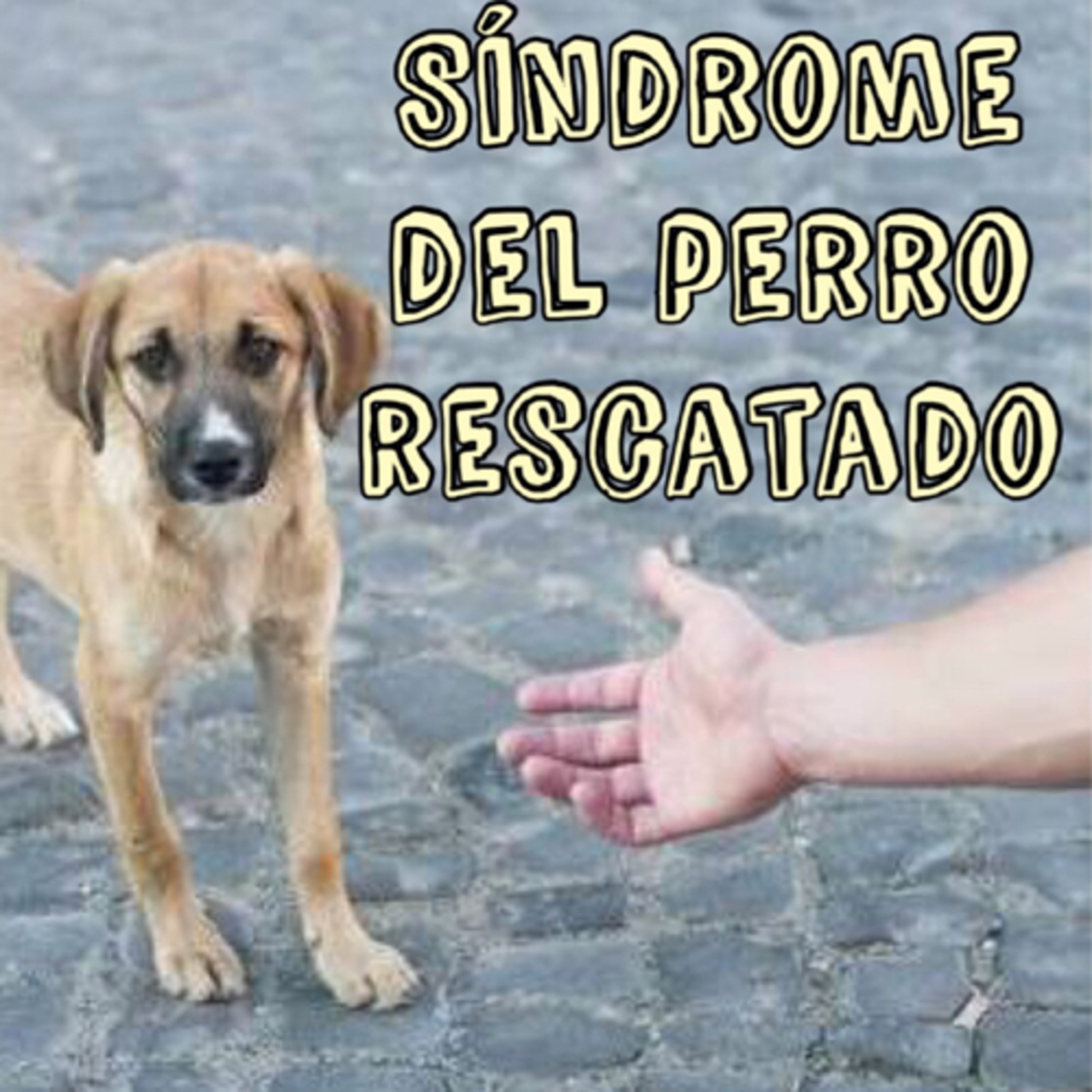 Preguntale al Entrenador