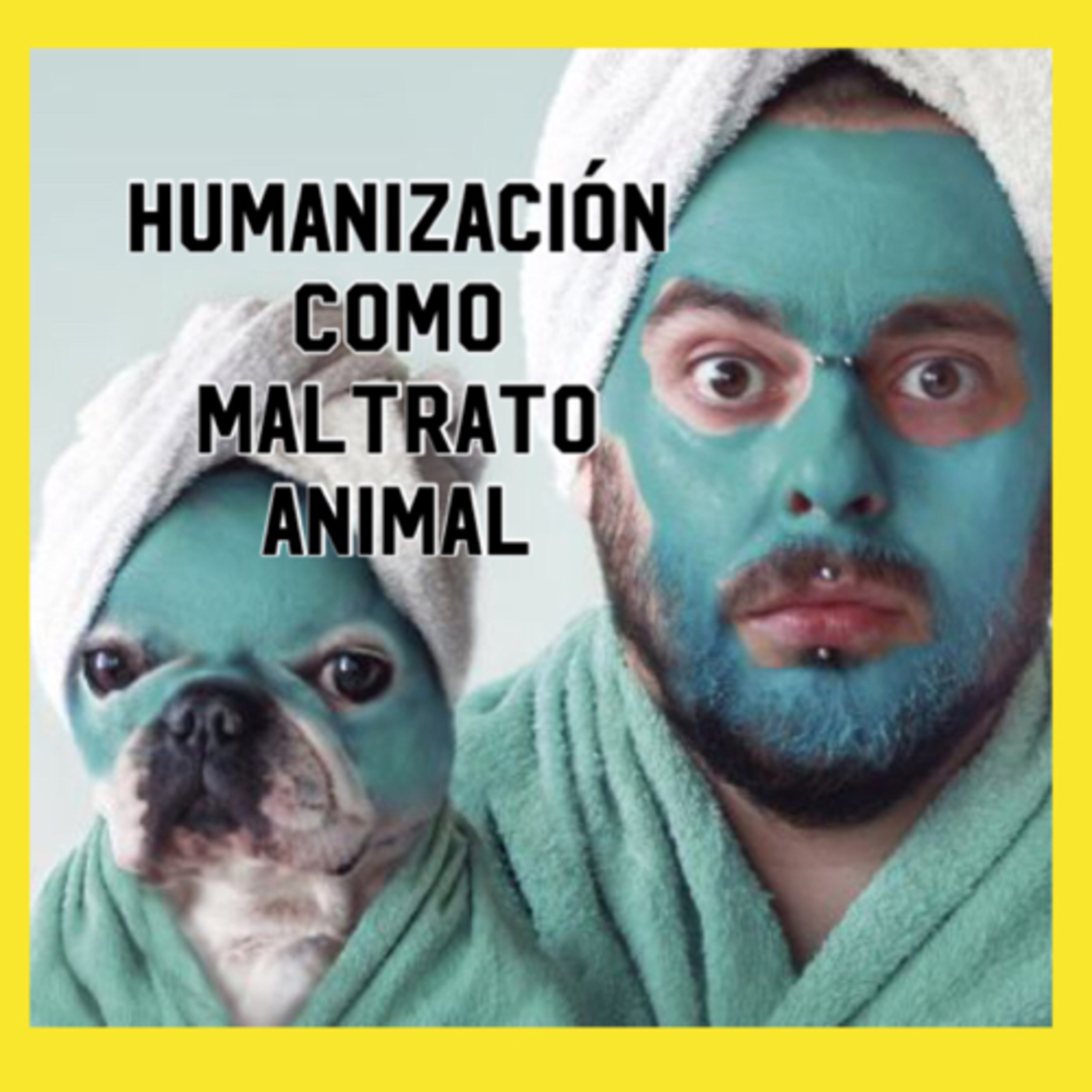 Preguntale al Entrenador